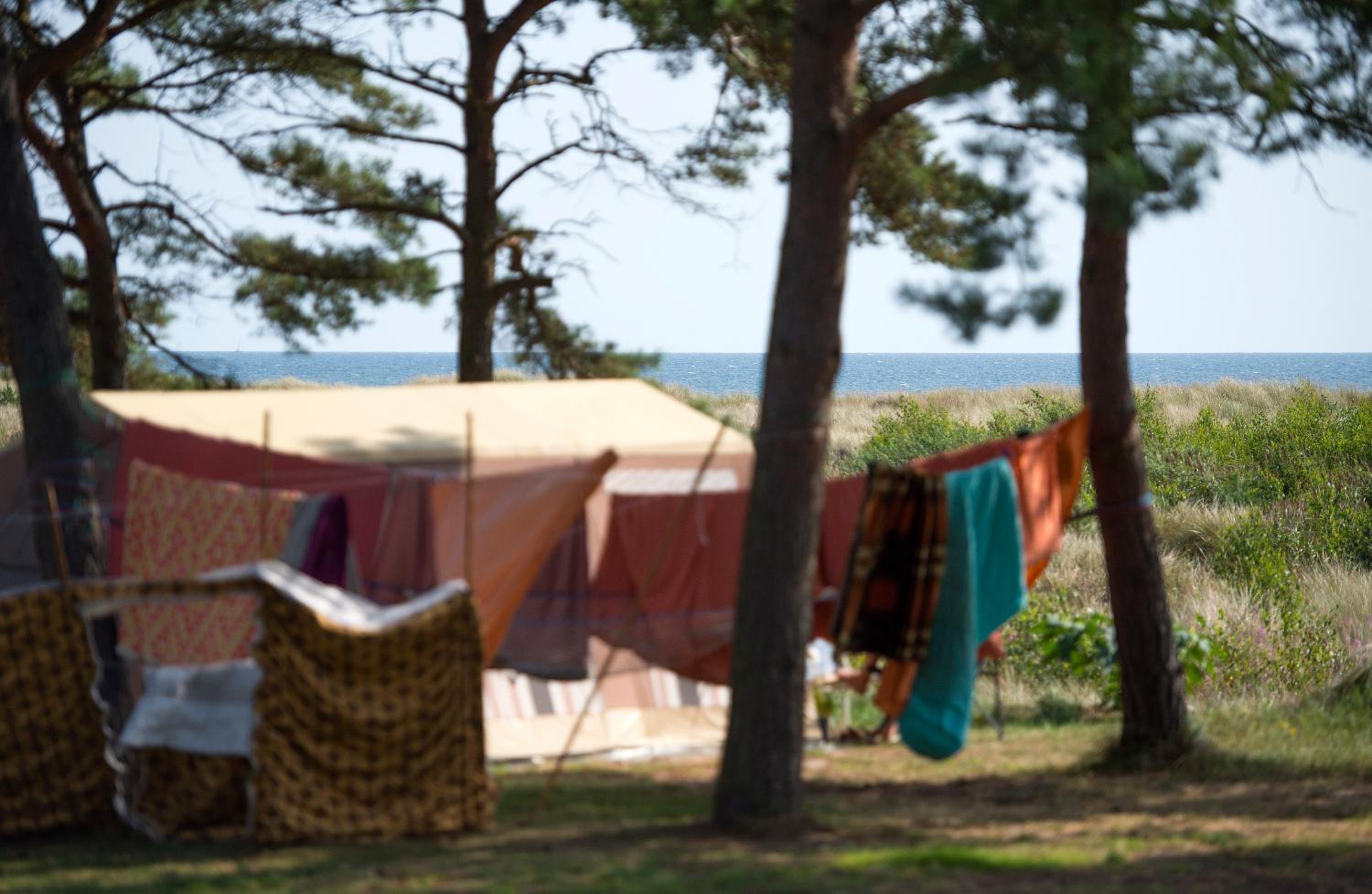 Basic Tent site incl. electricity (bring your own tent) - Photo 2