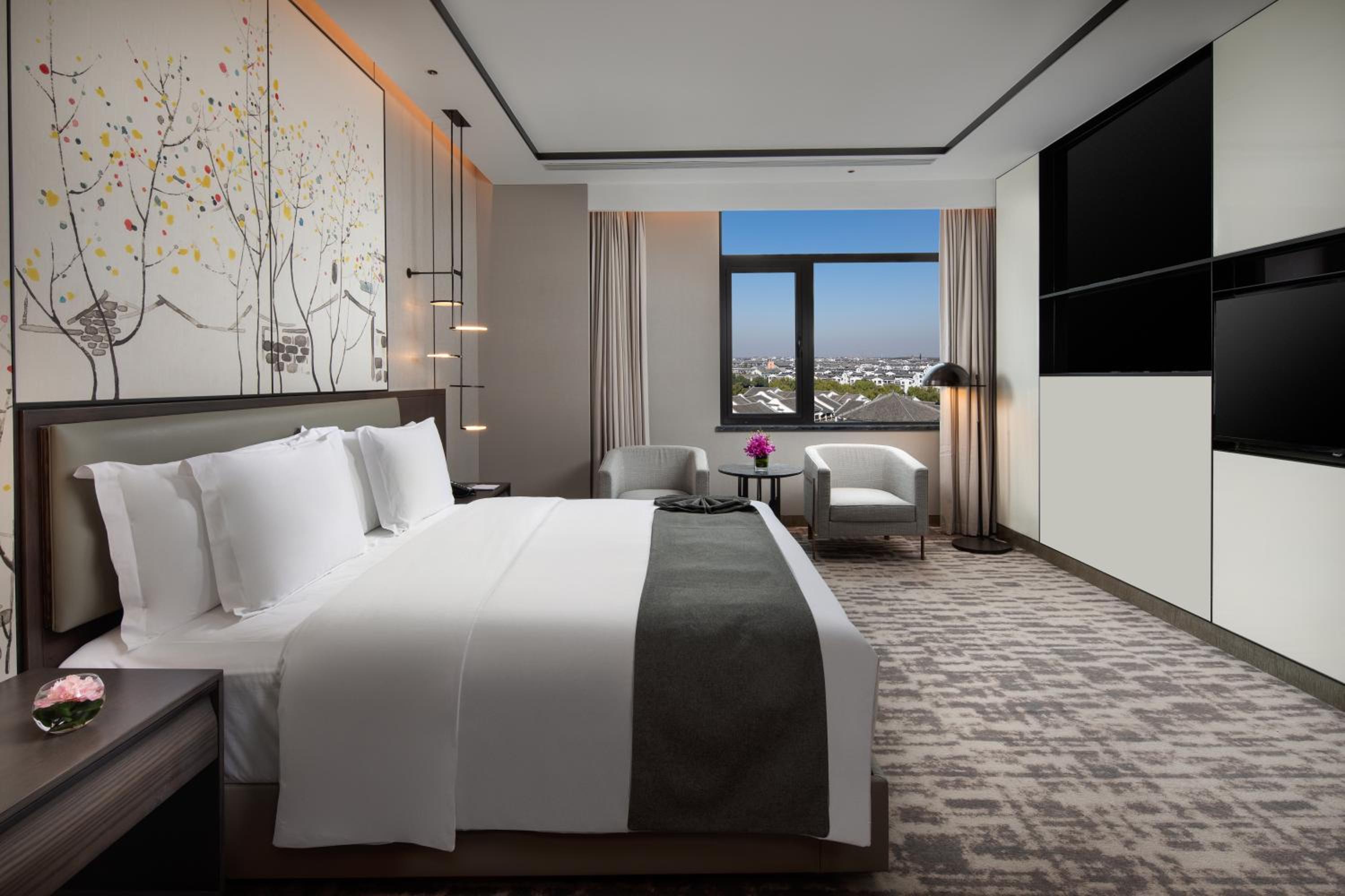 One-Bedroom Suite - Photo 4