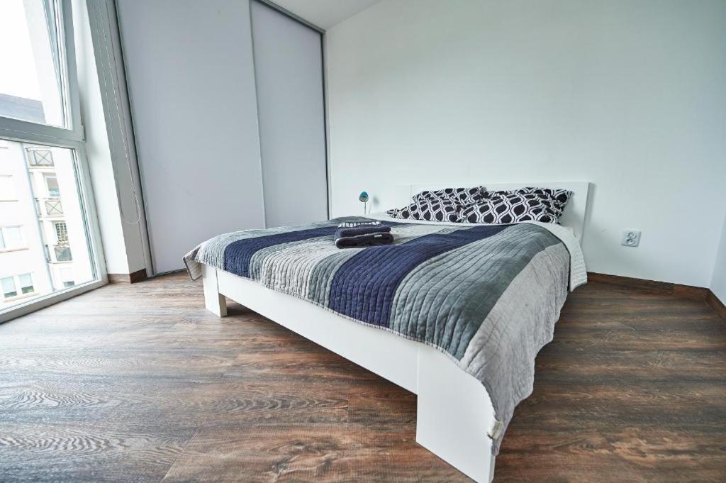 One-Bedroom Apartment - Photo 5