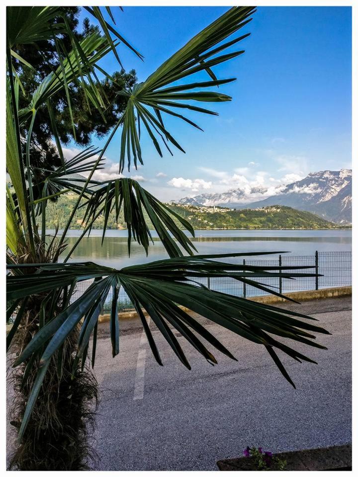Double Room with Lake View photo 2