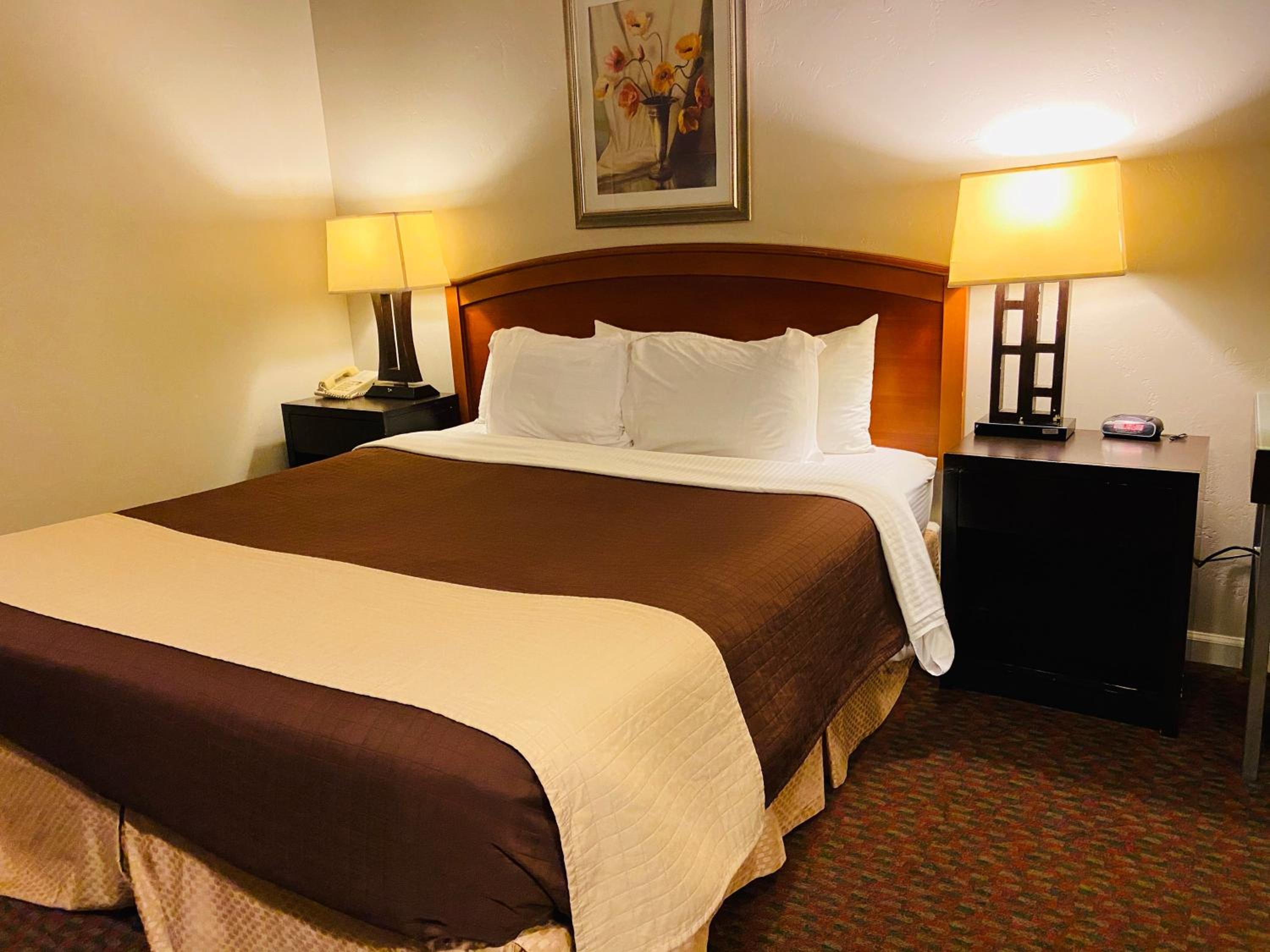 King Room photo 2