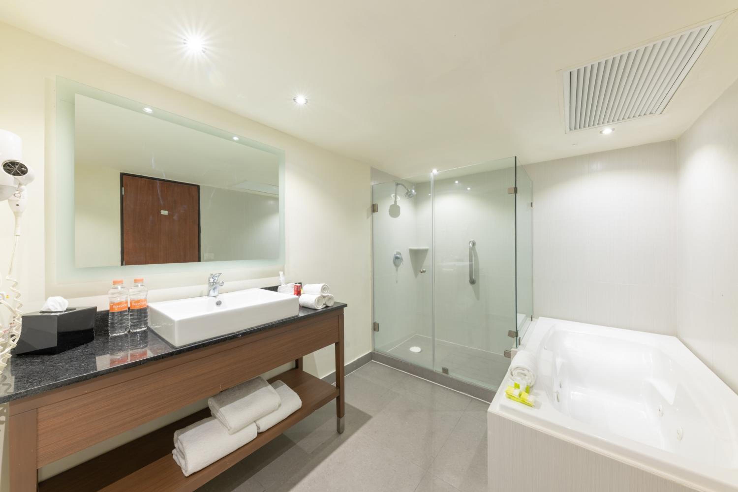 One-Bedroom Suite with City View - Photo 4