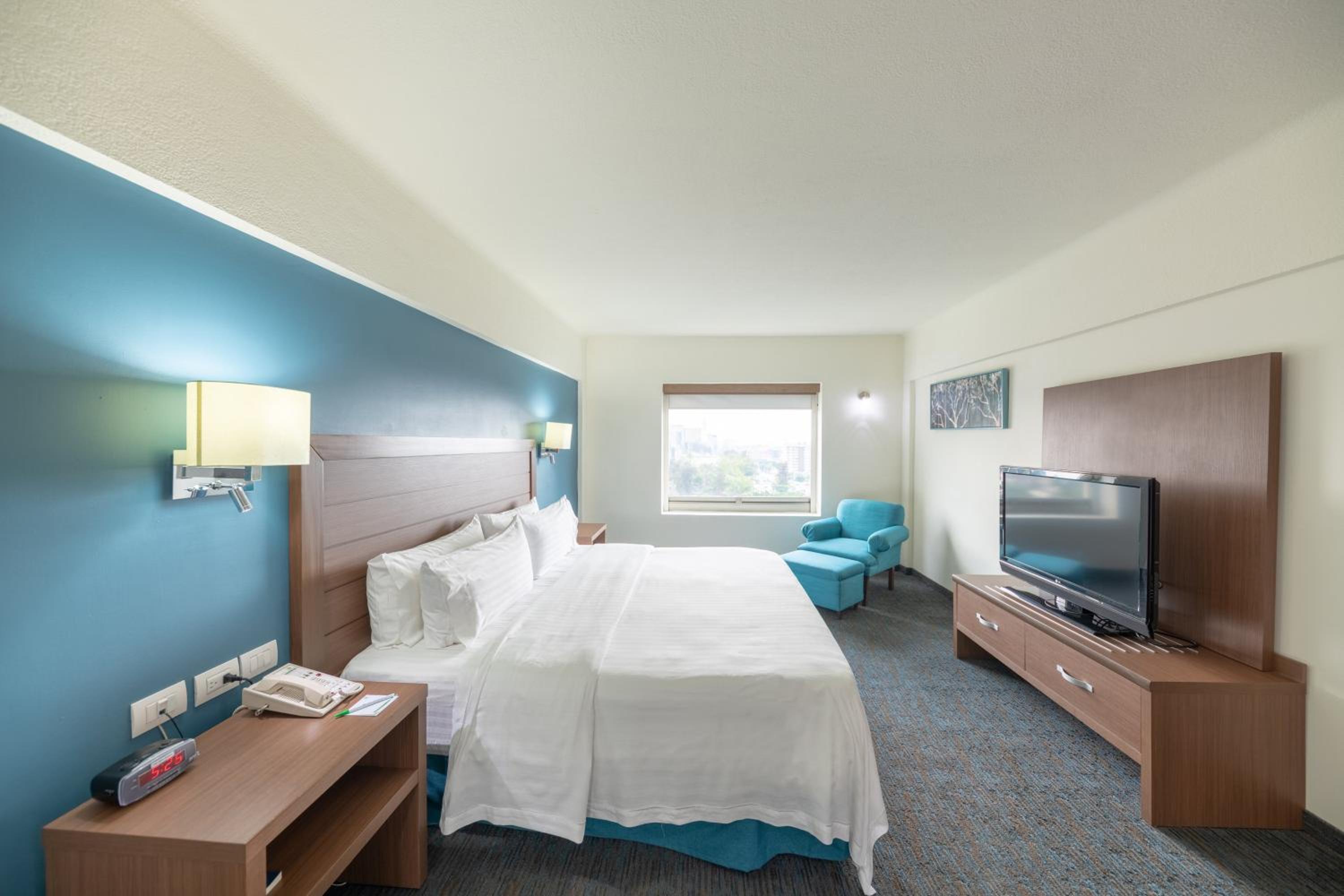 One-Bedroom Suite - Photo 6