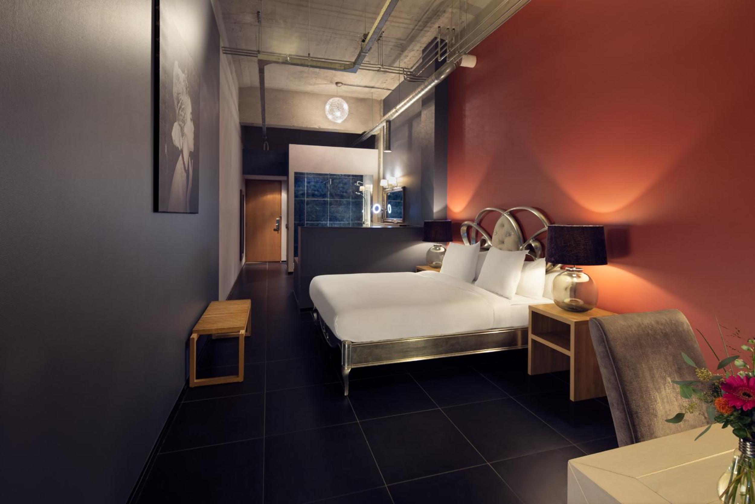 Suite - Photo 1