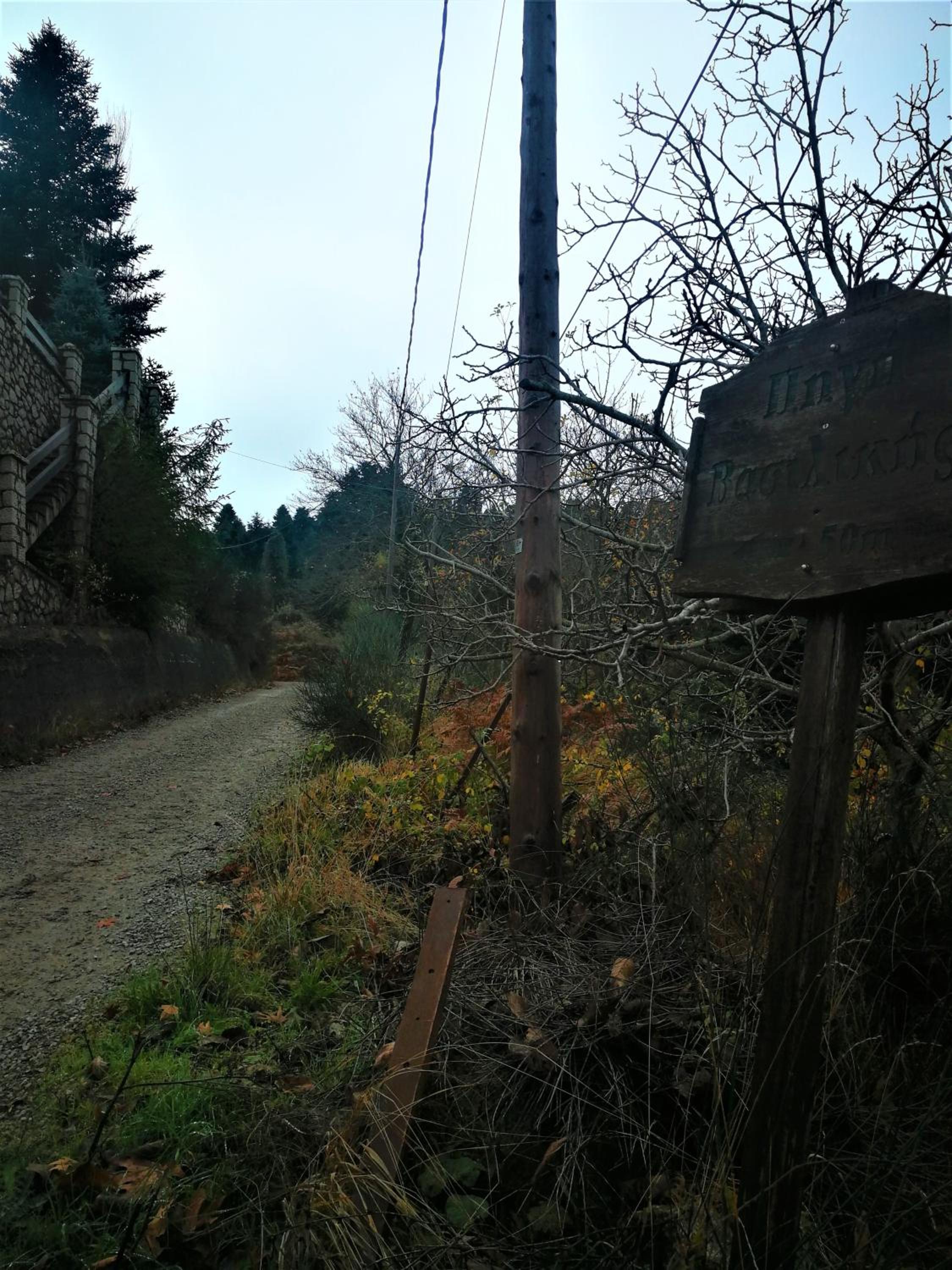 Chalet photo 3