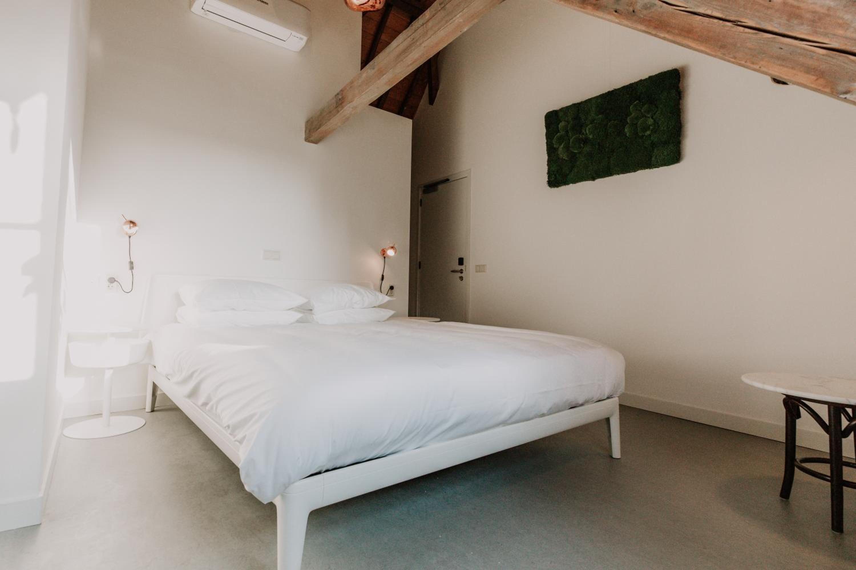 Standard King Room - Photo 6