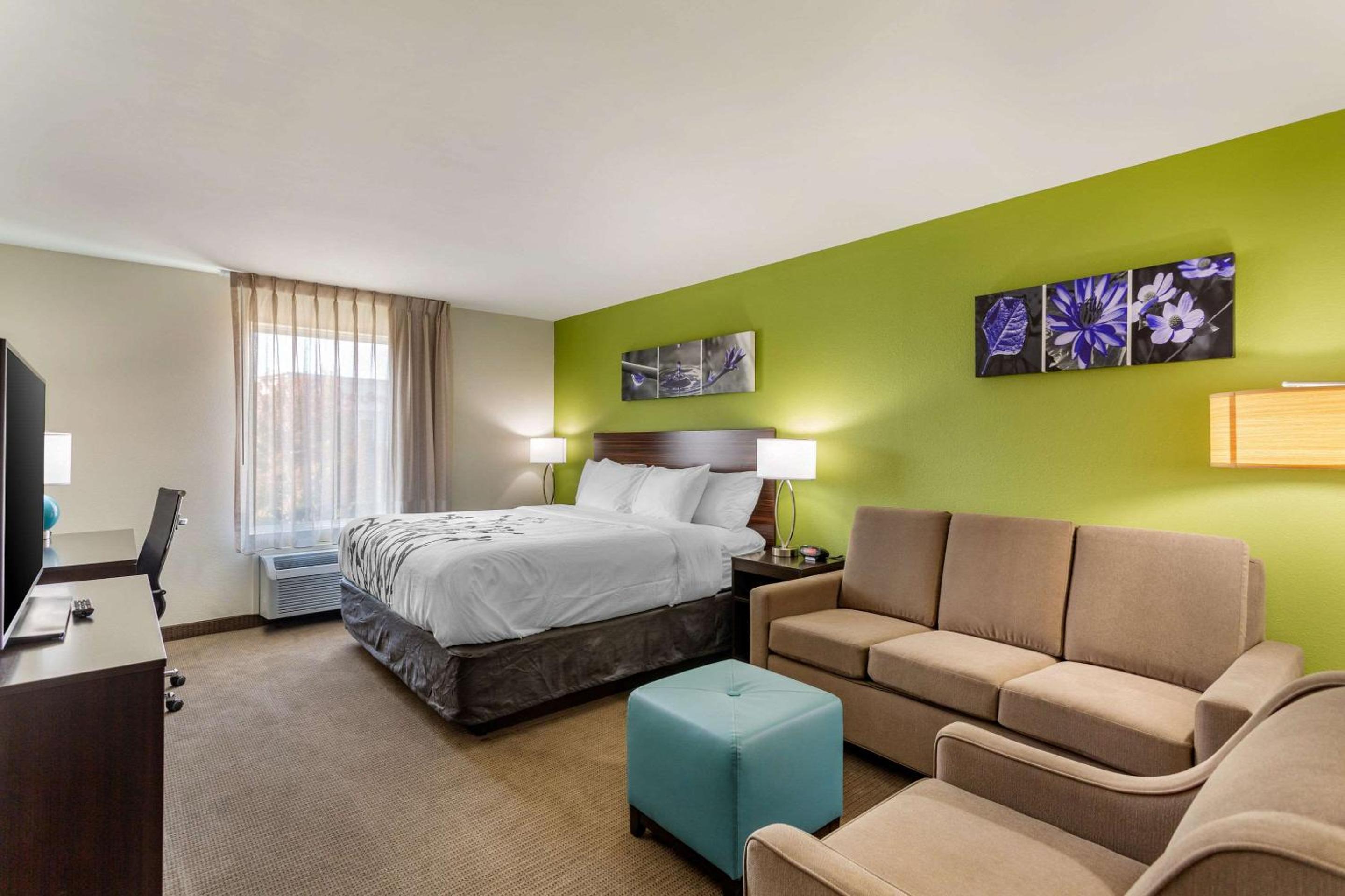 King Suite with Sofa Bed - Non-Smoking - Photo 4