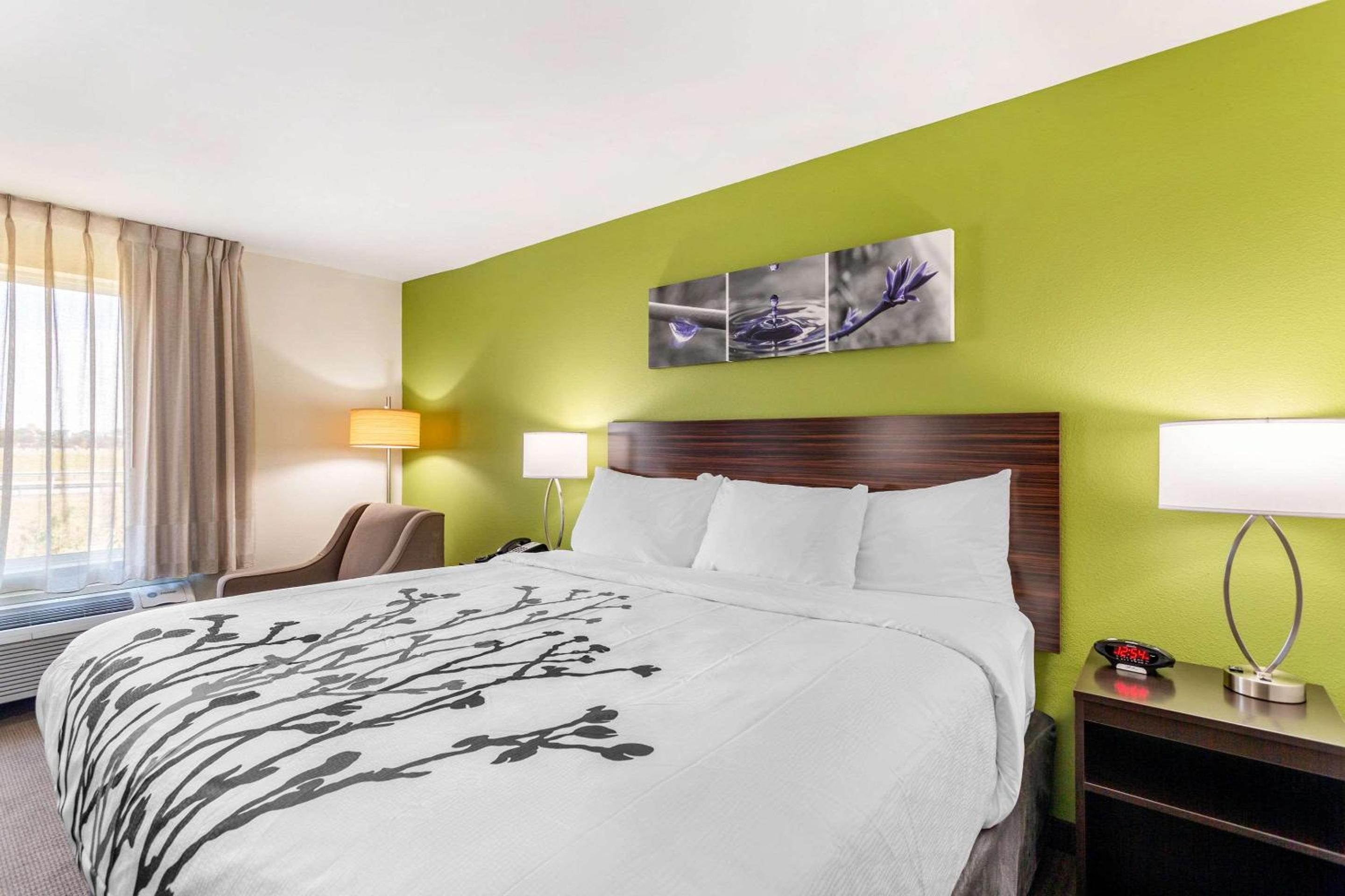 King Room - Non-Smoking - Photo 2