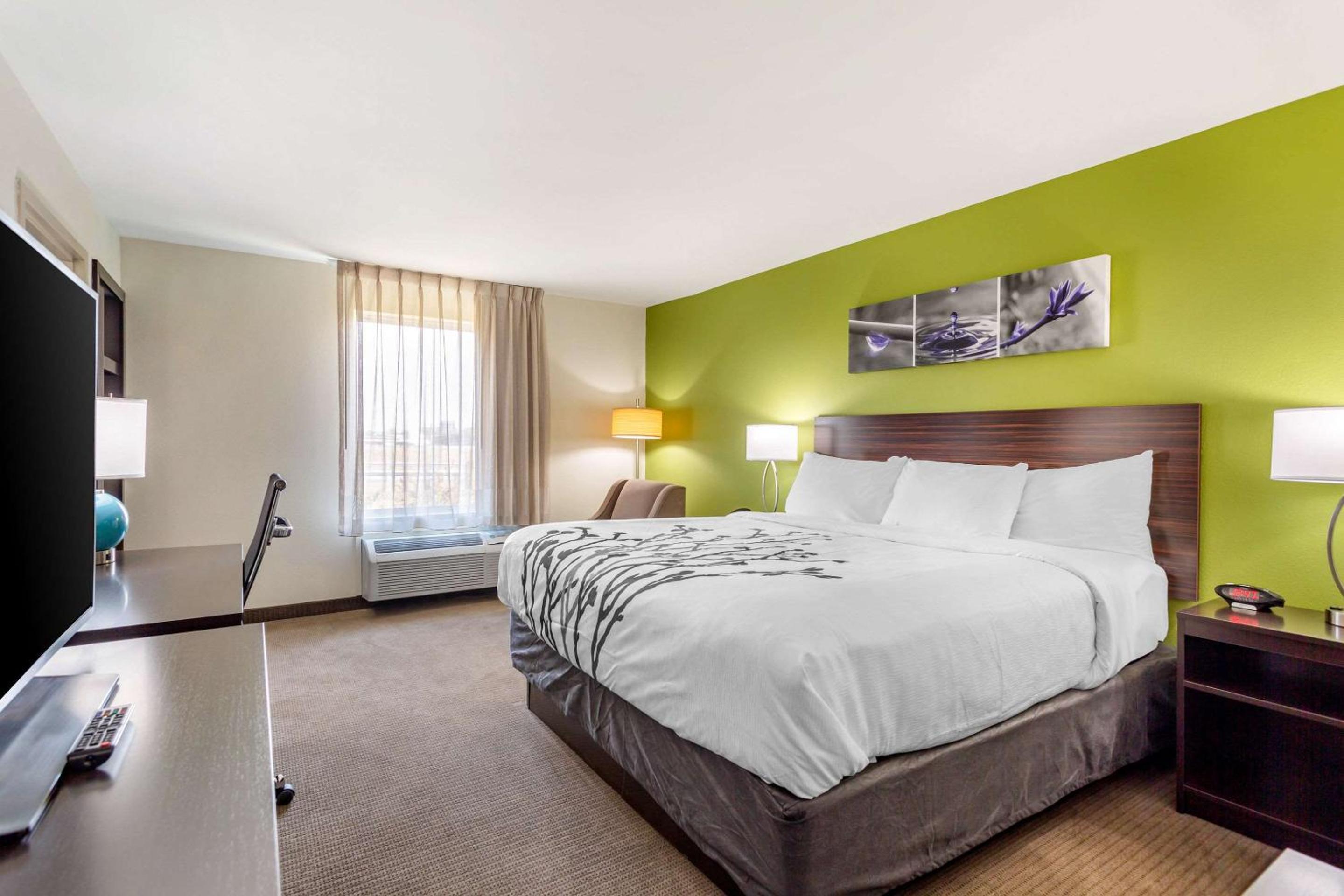 King Room - Non-Smoking - Photo 3
