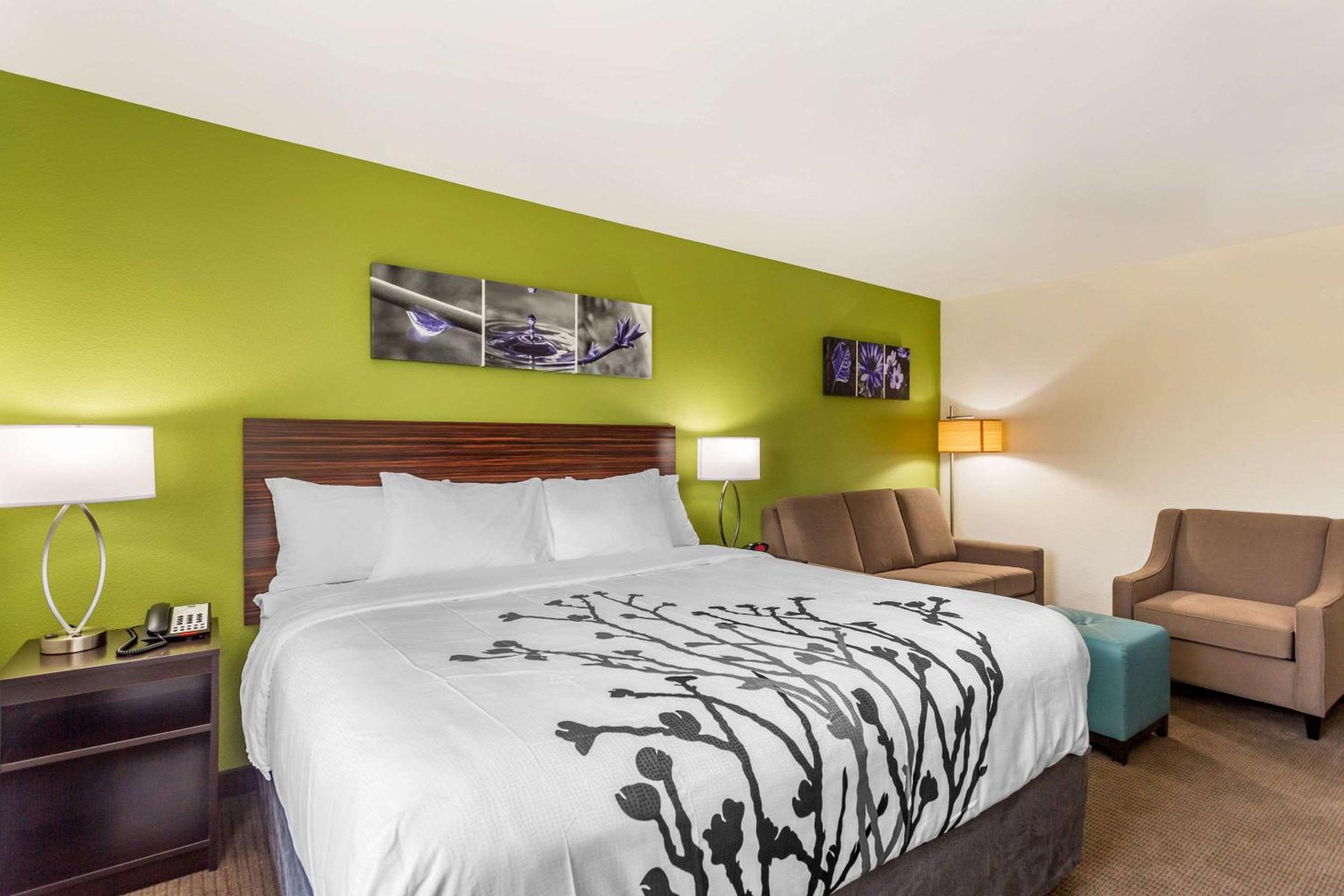 King Suite with Sofa Bed - Non-Smoking - Photo 1