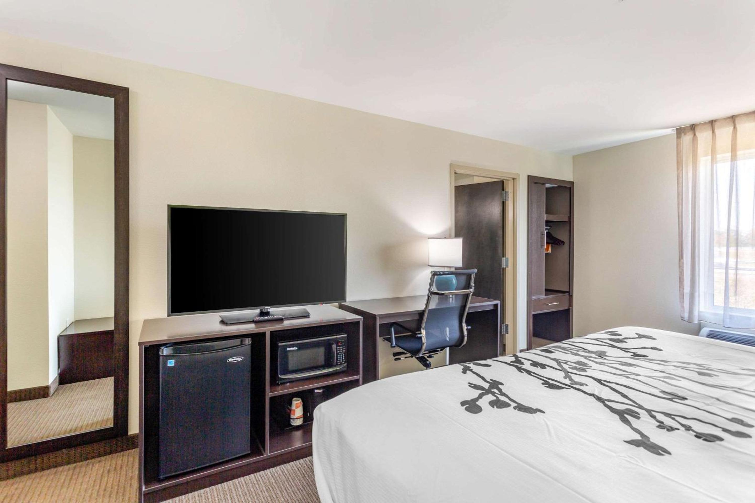King Room - Non-Smoking - Photo 5
