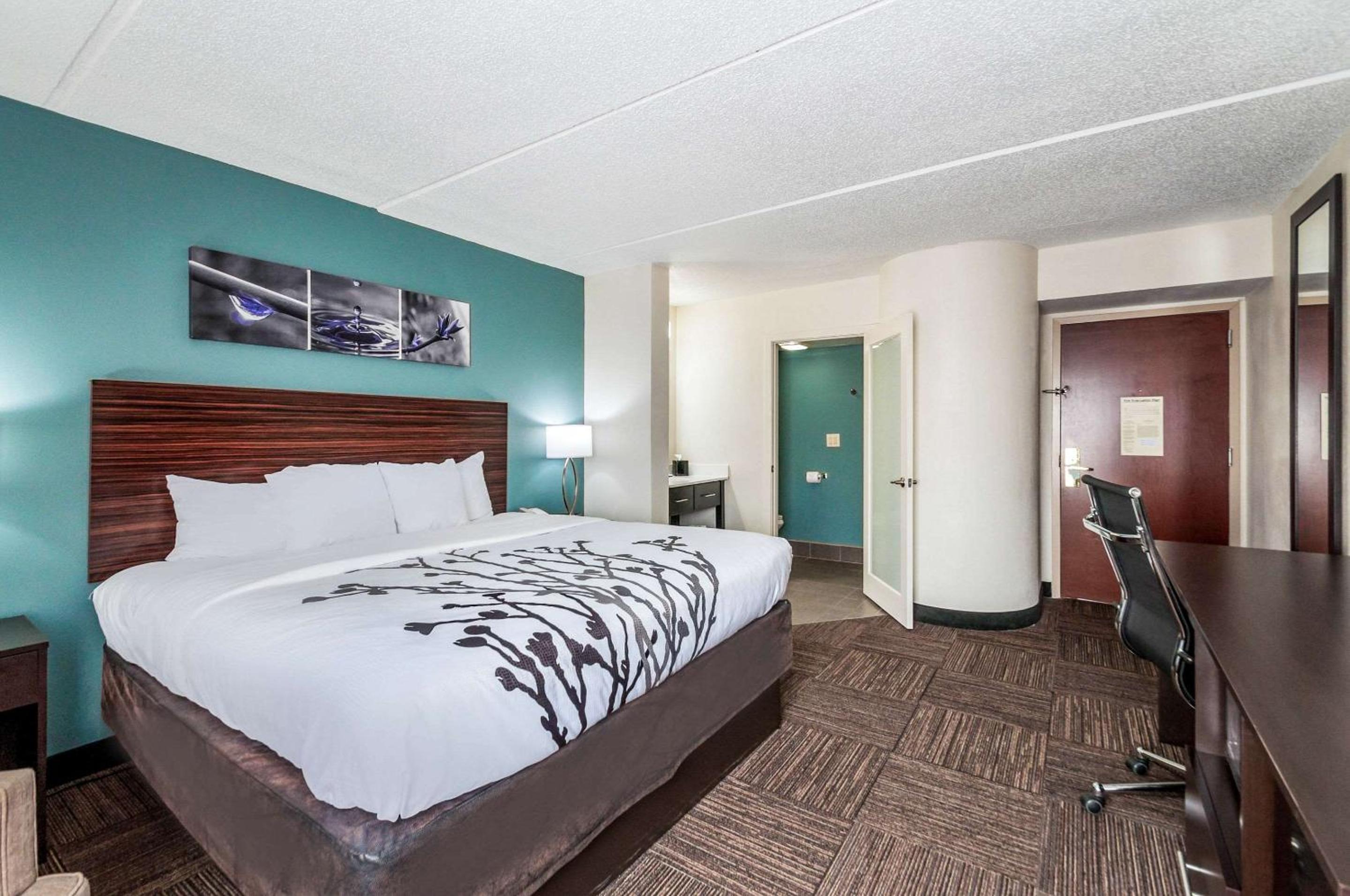King Room - Non Smoking/Pet Friendly - Photo 2