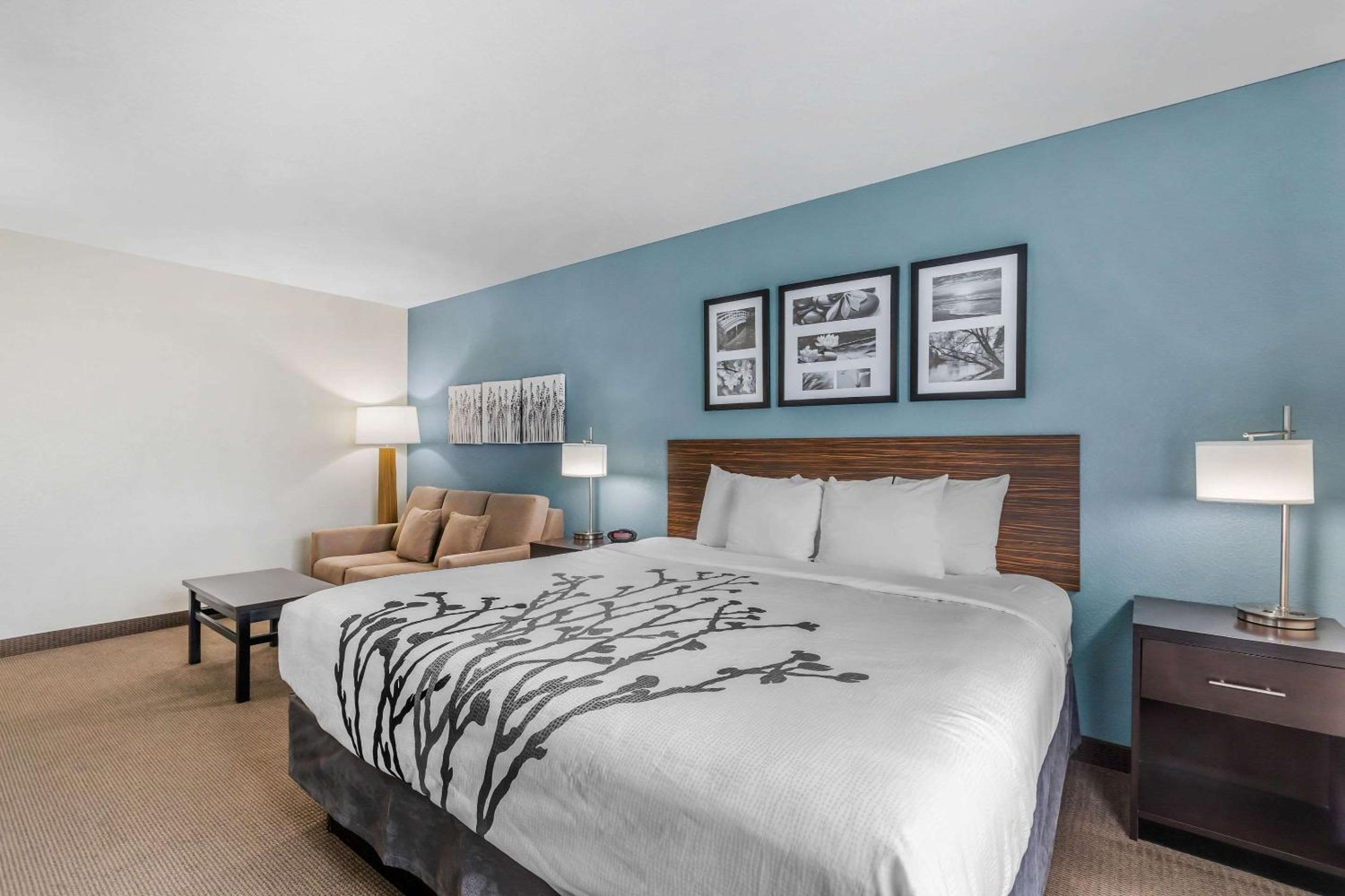King Suite with Sofa Bed - Non-Smoking photo 1