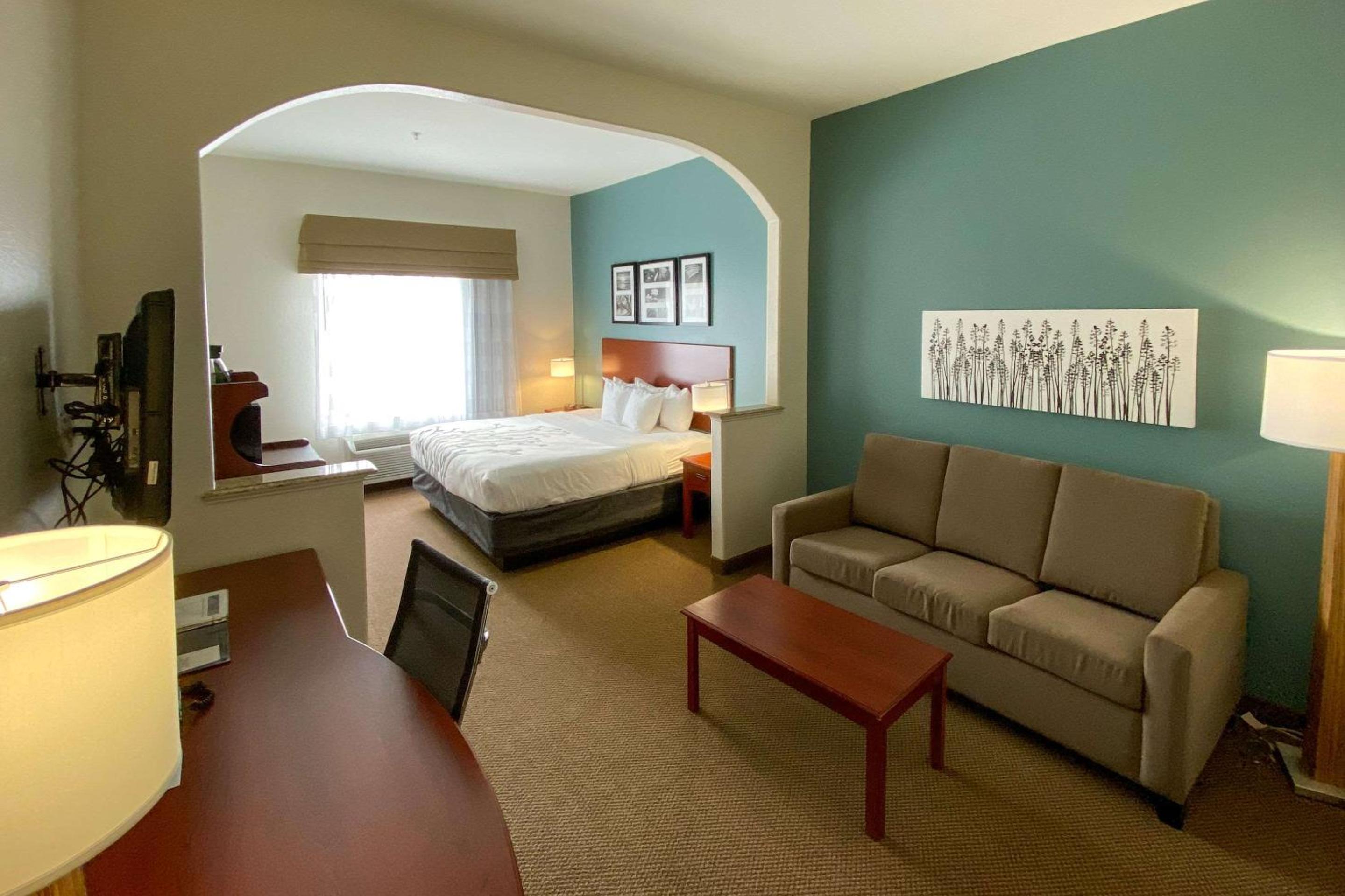 Deluxe King Suite with Sofa Bed - Photo 1