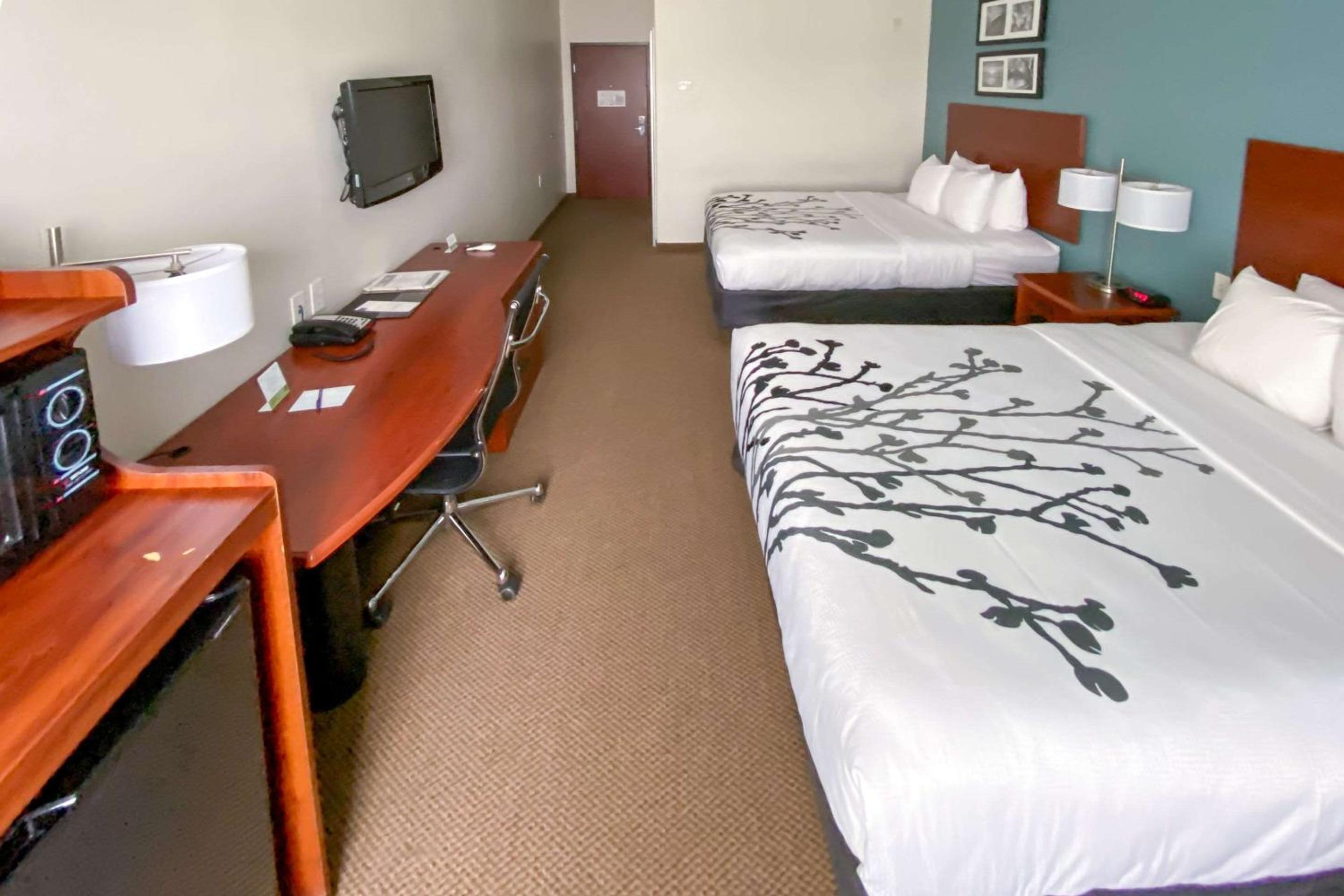 Deluxe Queen Room with Two Queen Beds - Photo 3