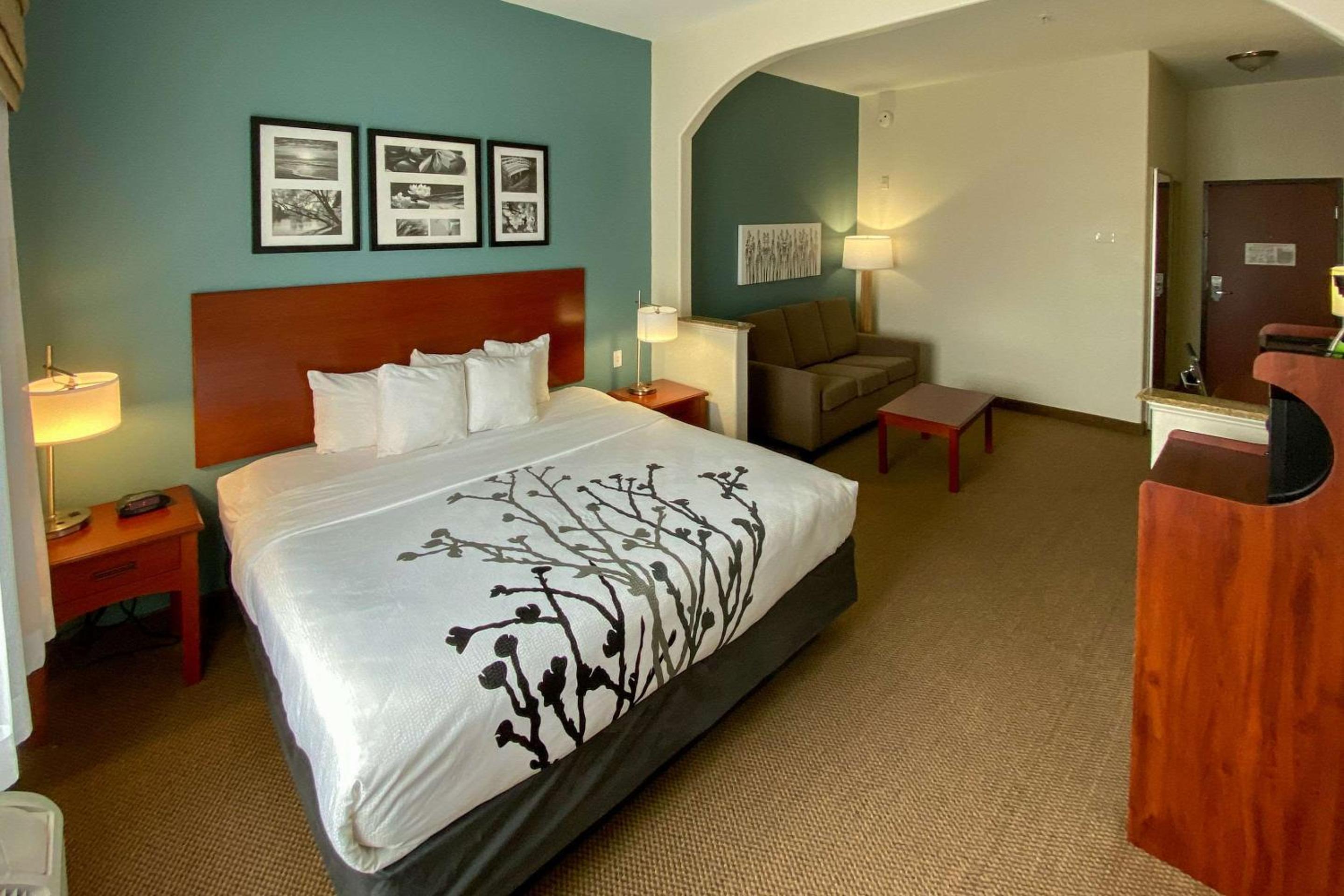 Deluxe King Suite with Sofa Bed - Photo 2