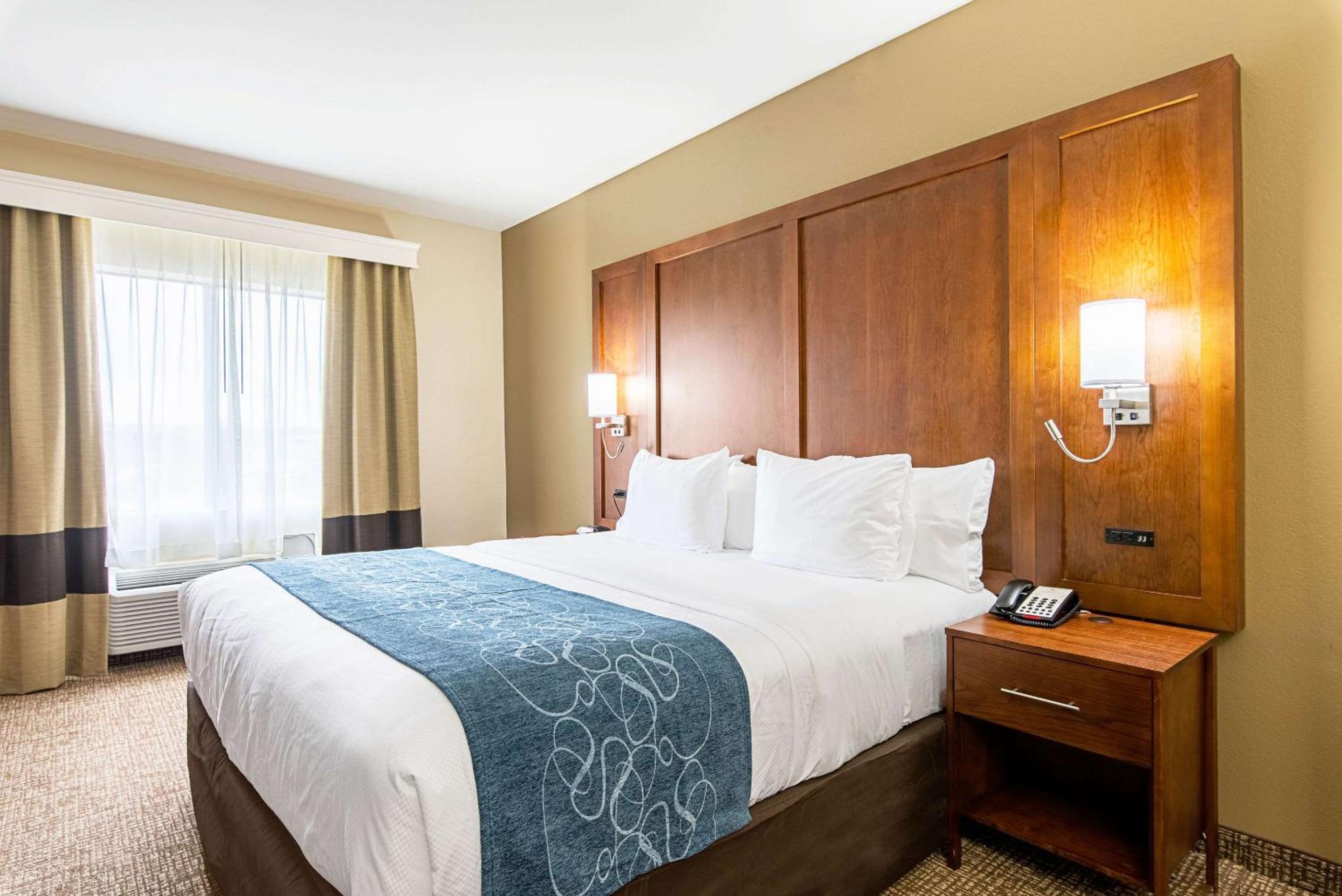 King Suite with Sofa Bed - Non-Smoking - Photo 7