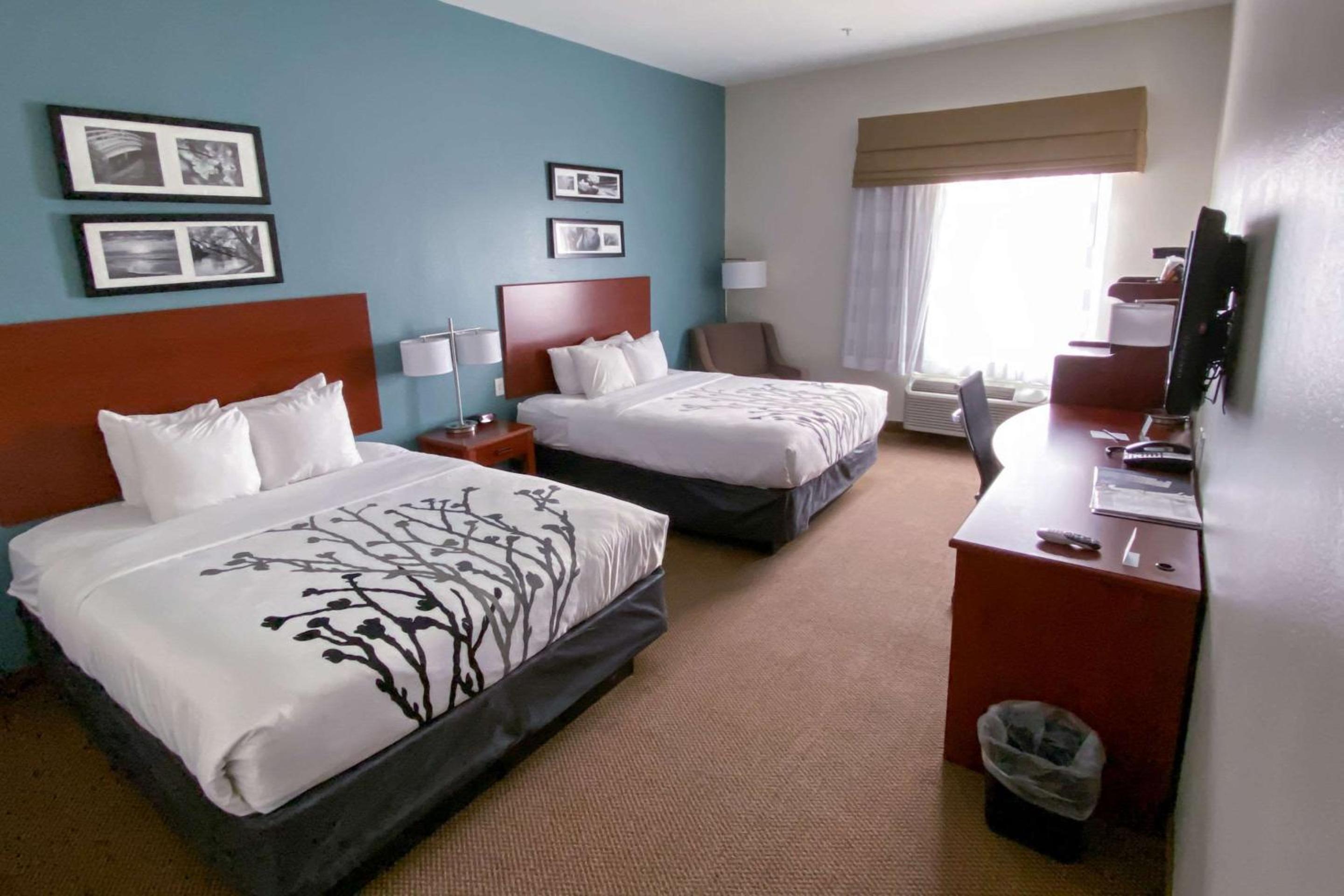 Deluxe Queen Room with Two Queen Beds - Photo 2