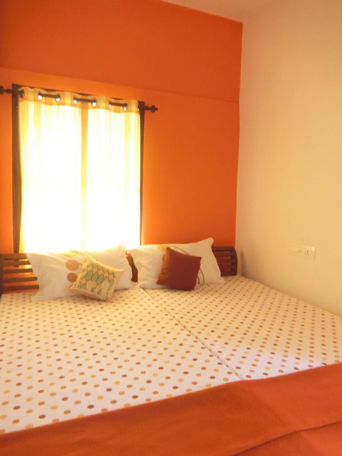 Standard Twin Room photo 1