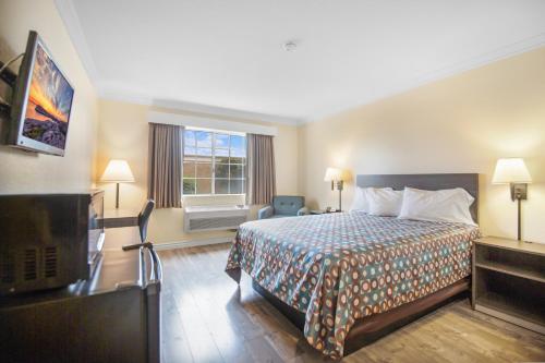 King Room photo 1