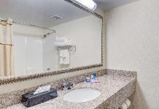 Double Room with Two Double Beds - Pet Friendly/Non-Smoking - Photo 3