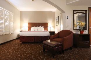 King Suite with Bath Tub - Disability/Non-Smoking - Photo 13