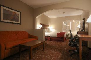 King Suite - Mobility Accessible with Bathtub and Sofa Bed - Photo 2
