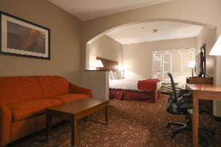 King Suite - Mobility Accessible with Bathtub and Sofa Bed - Photo 4