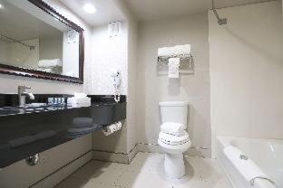 King Suite - Mobility Accessible with Bathtub and Sofa Bed - Photo 5