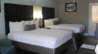 Quarto #33553018