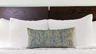 Quarto #33553016
