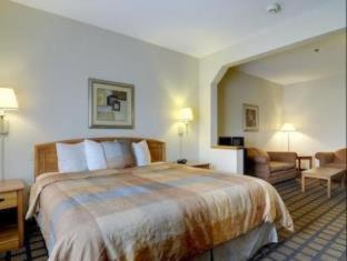 King Suite with Jetted Tub - Non-Smoking - Photo 1