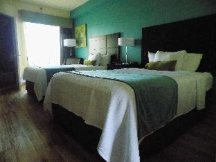 Zimmer #29159512