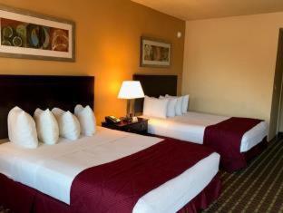 Junior King Suite - Non-Smoking photo 2