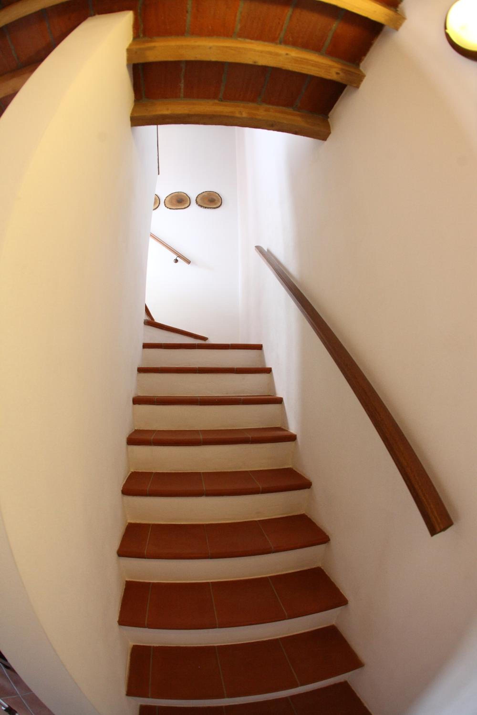 Suite - Photo 13