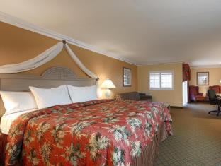 Queen Room with Roll-in Shower - Disability Access - Non-smoking - Photo 1