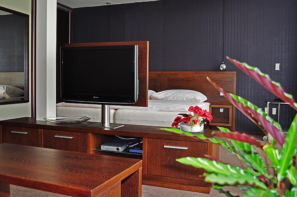 Standard Apartment photo 2
