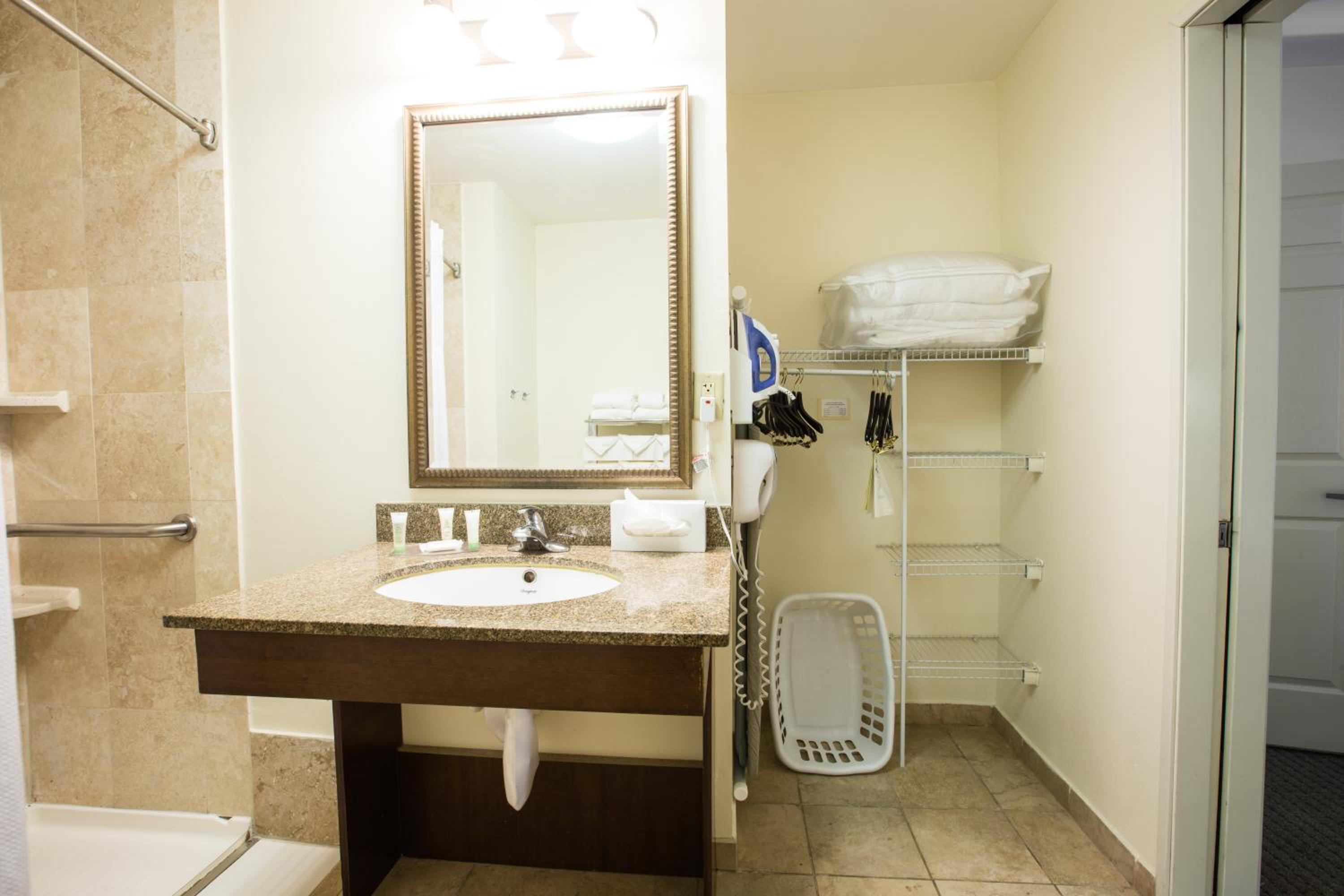 Queen Room - Mobility Access Roll in Shower/Non-Smoking - Photo 3