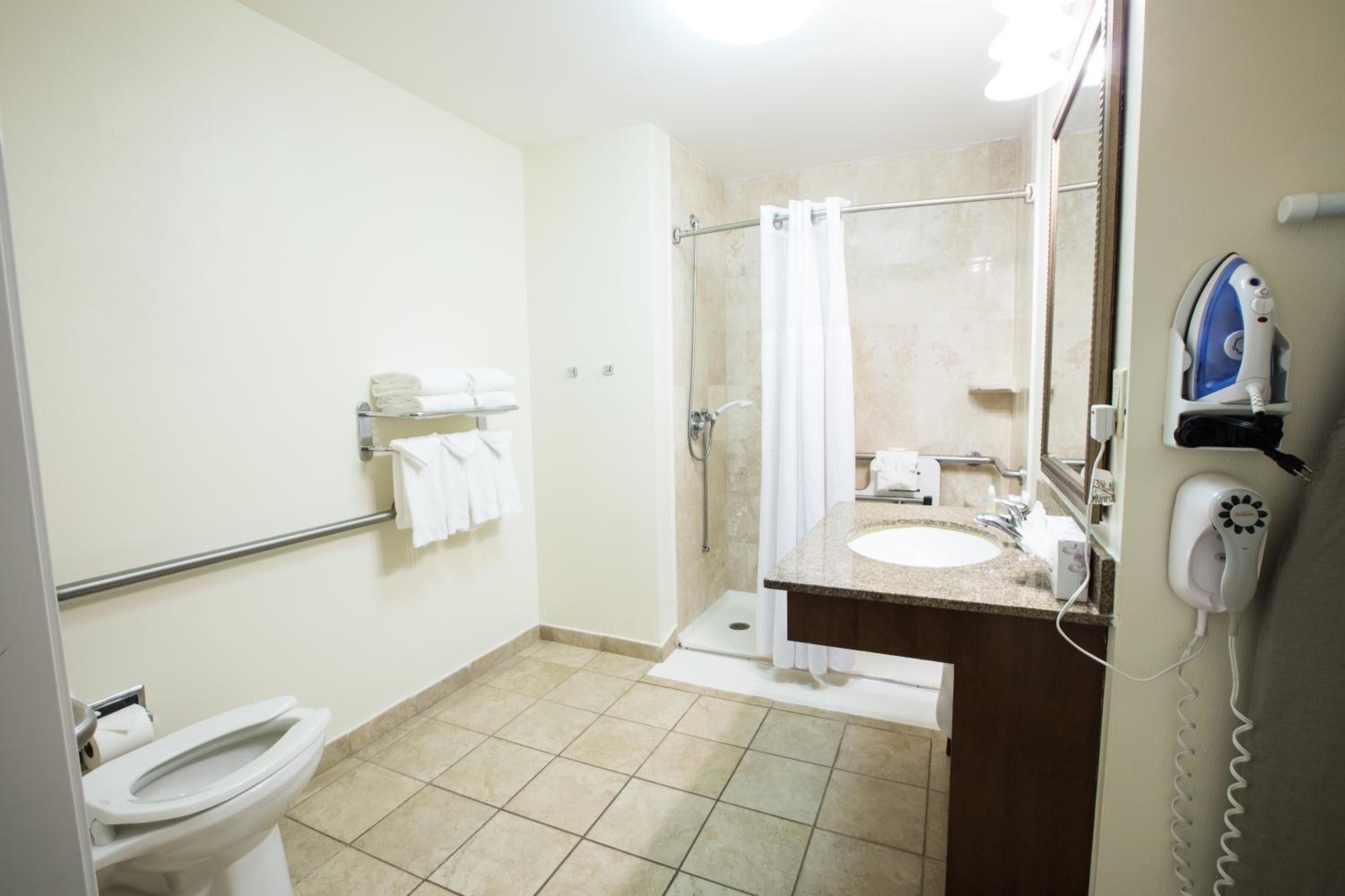 Queen Room - Mobility Access Roll in Shower/Non-Smoking - Photo 4