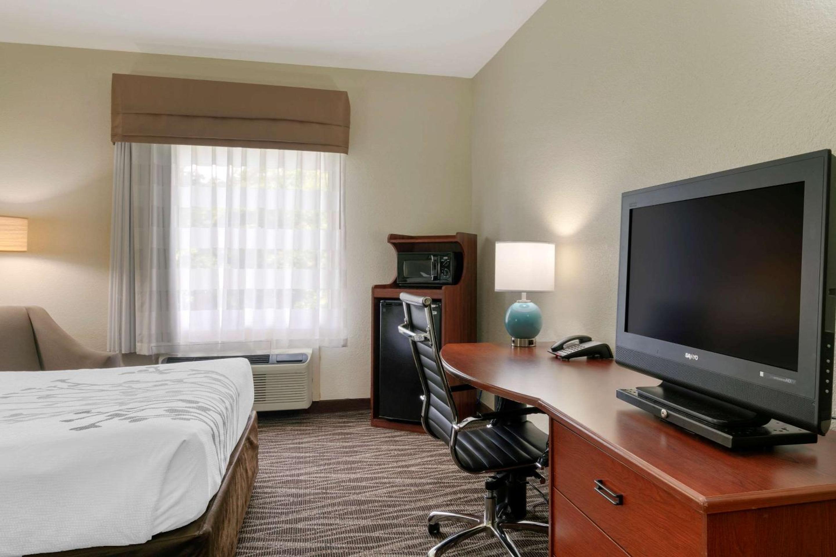 King Suite - Non-Smoking - Photo 5