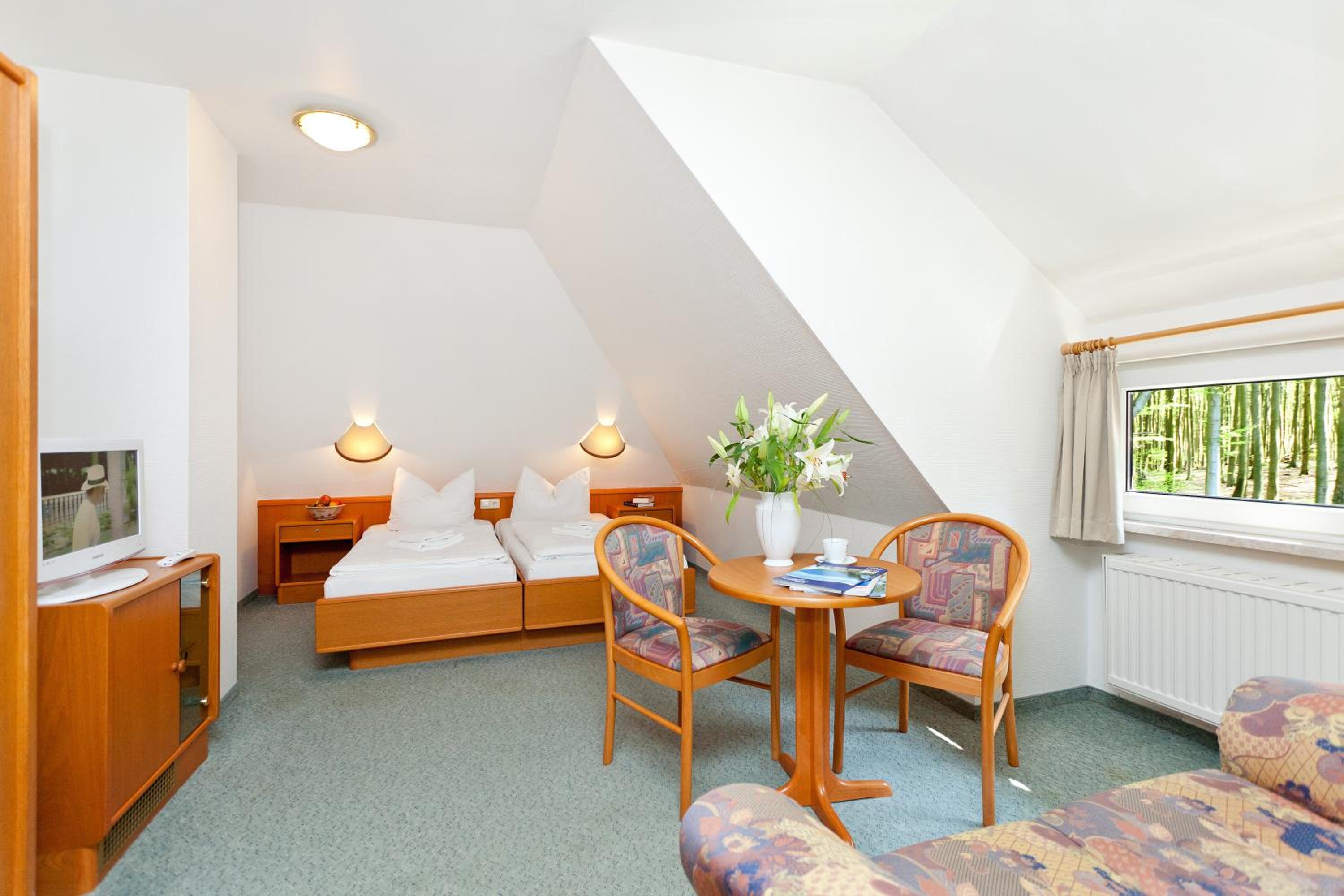 Double or Twin Room