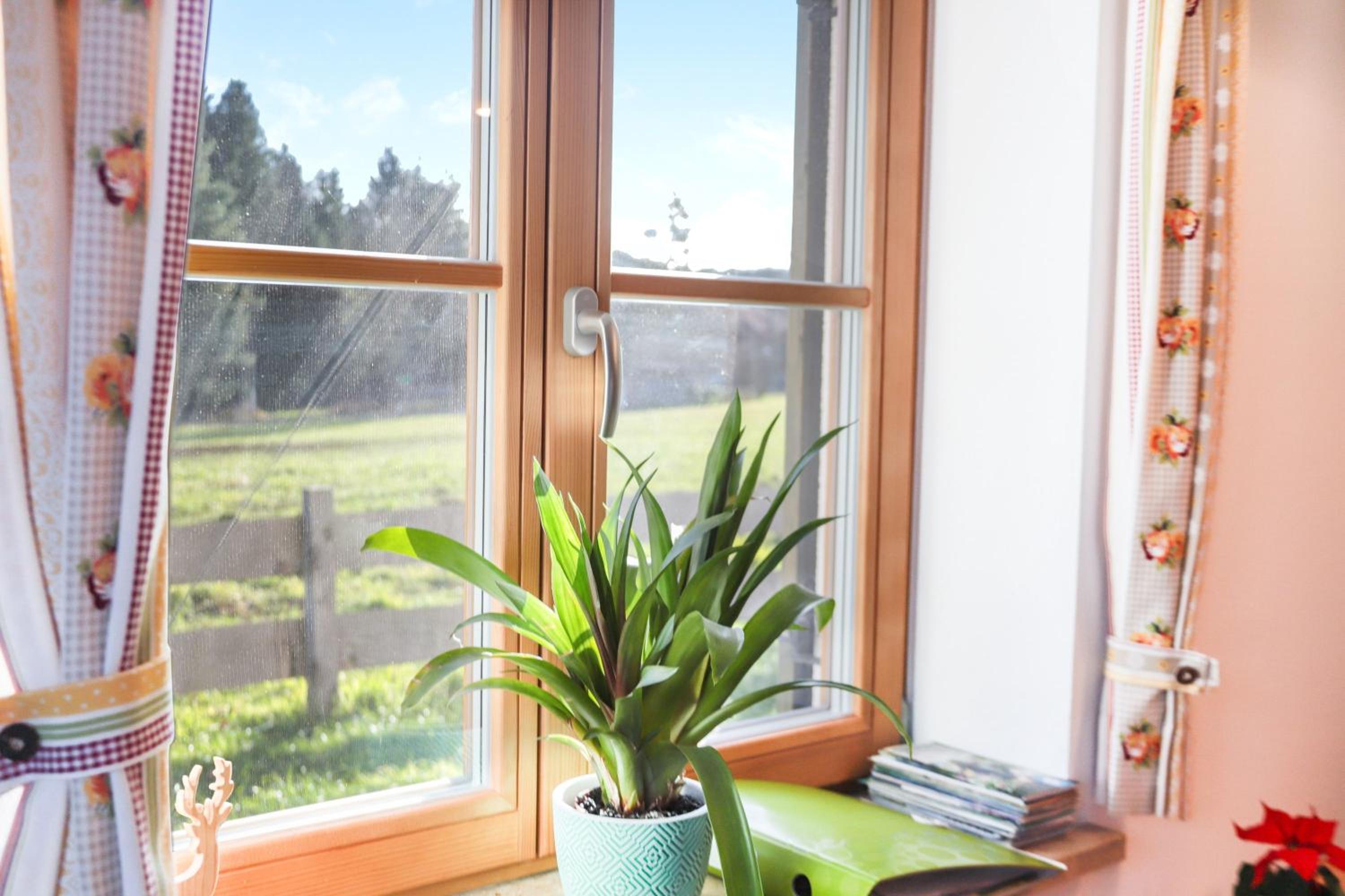 One-Bedroom Apartment with Garden photo 3