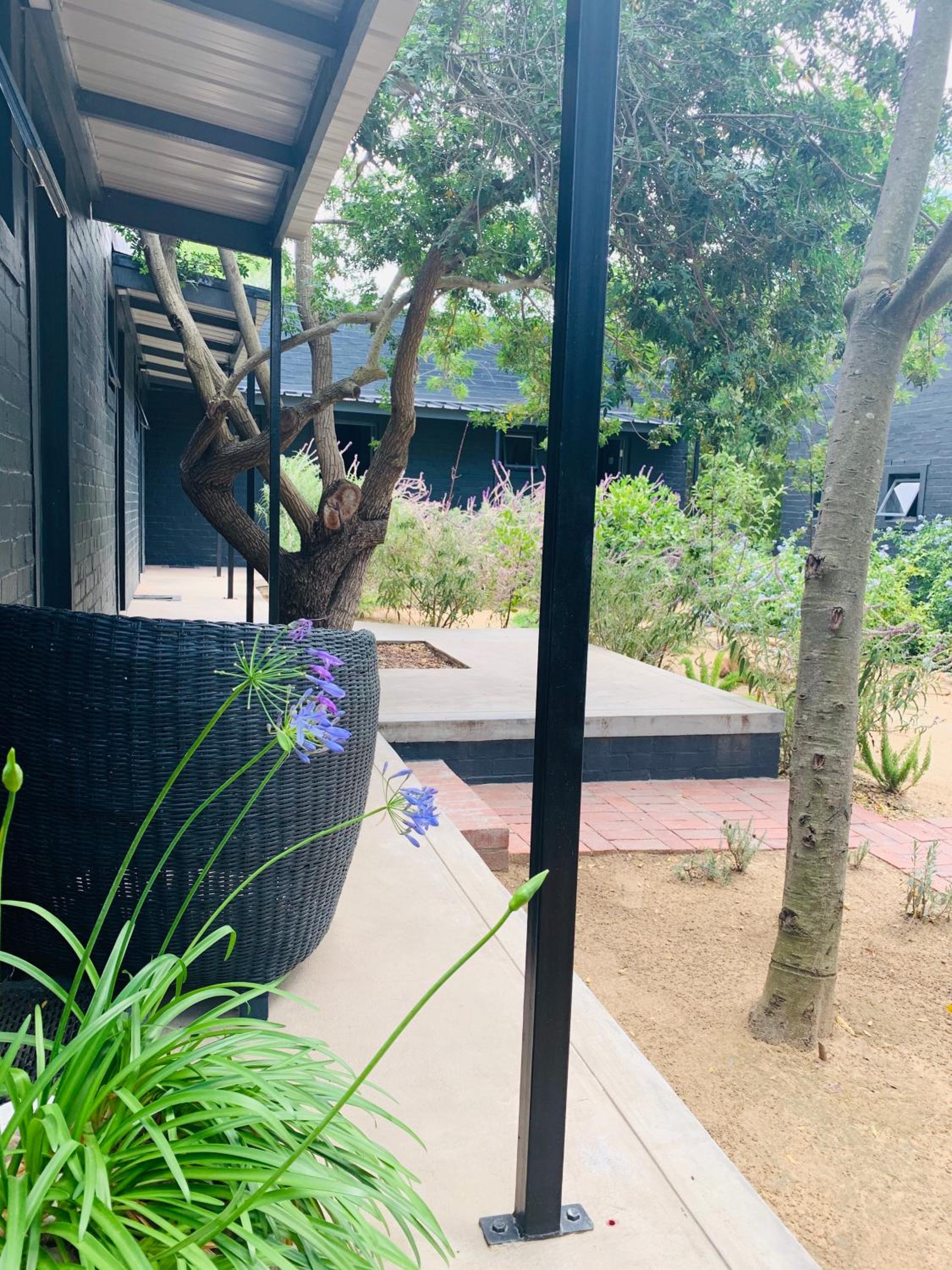 Studio With Garden View photo 2