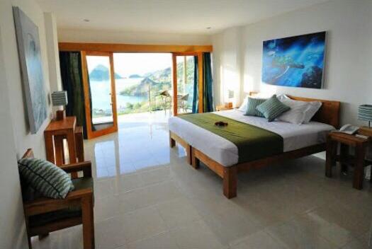 Standard Double or Twin Room with Balcony and Sea View photo 3