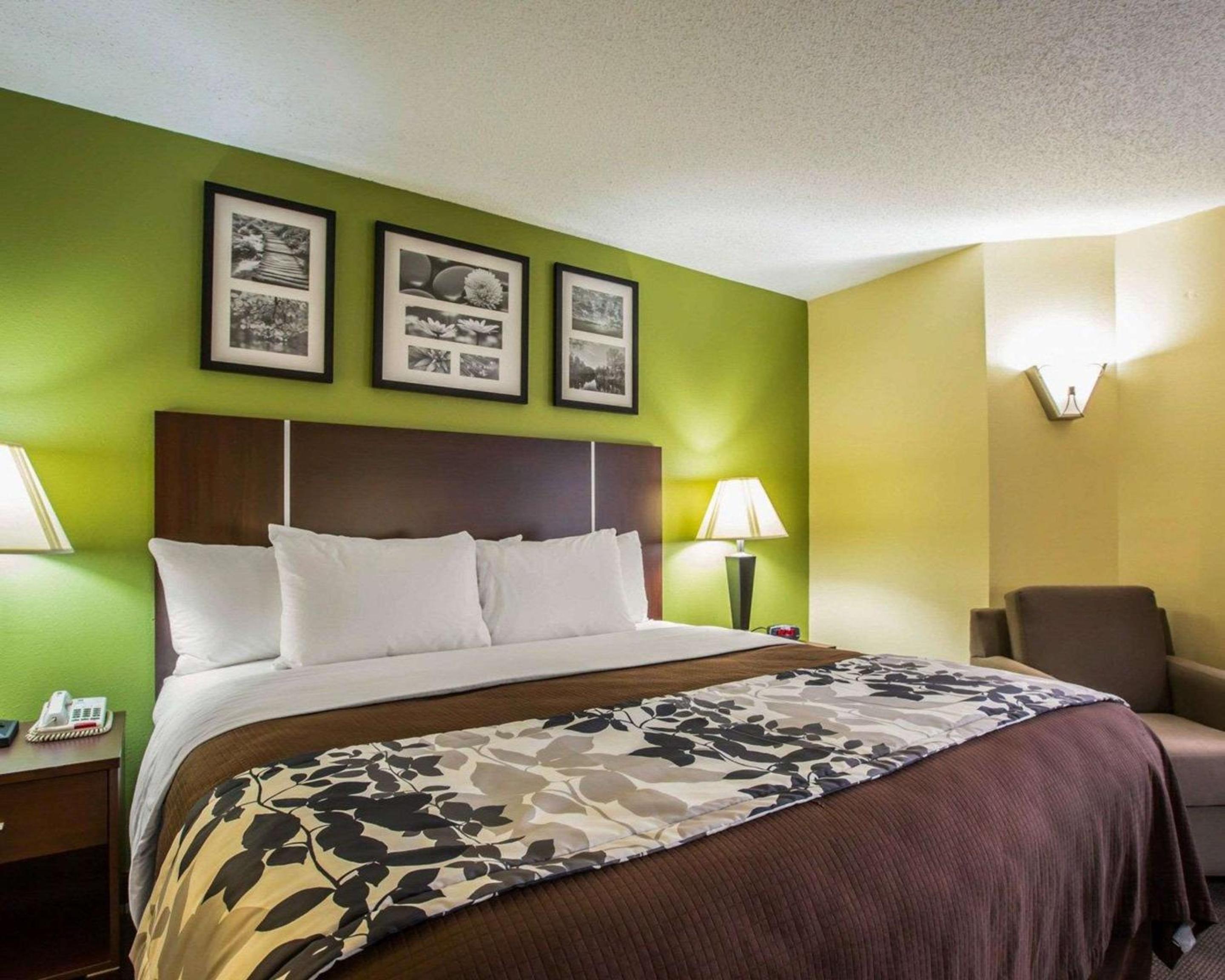 King Room - Non-Smoking - Photo 4