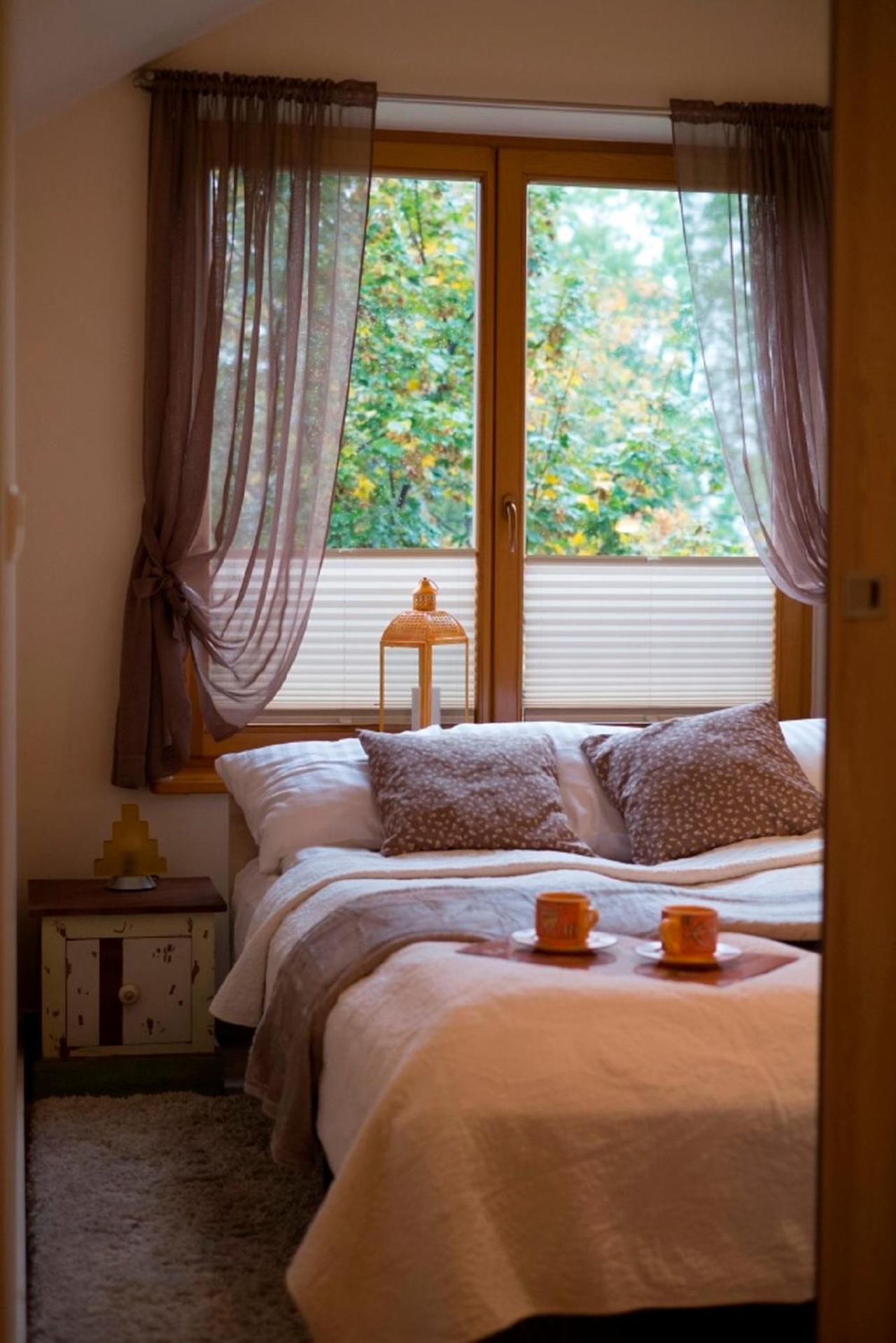 Superior Apartment - Photo 6