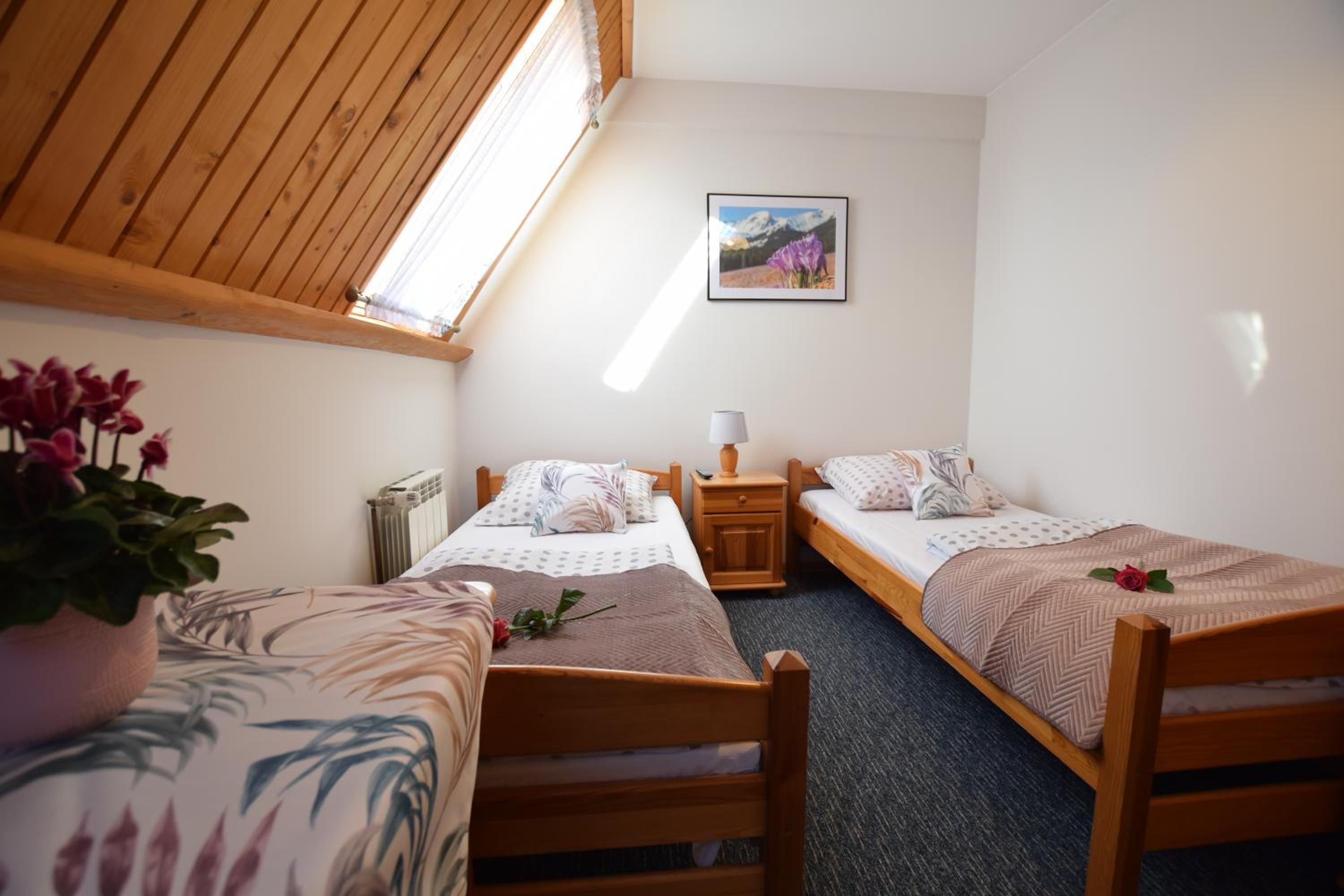 Large Single Room photo 1