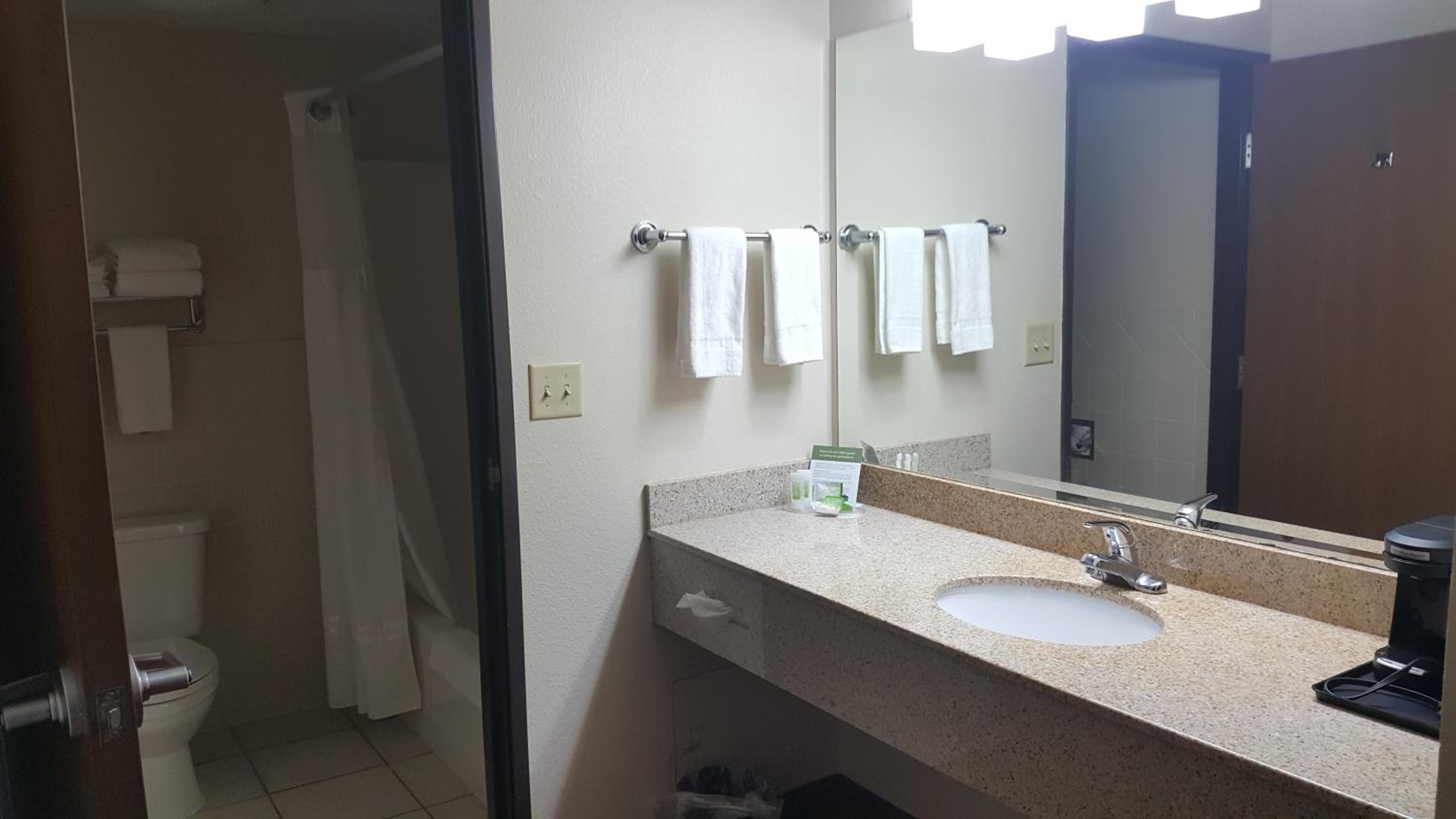 One-Bedroom Premier King Suite - Non-Smoking - Photo 2