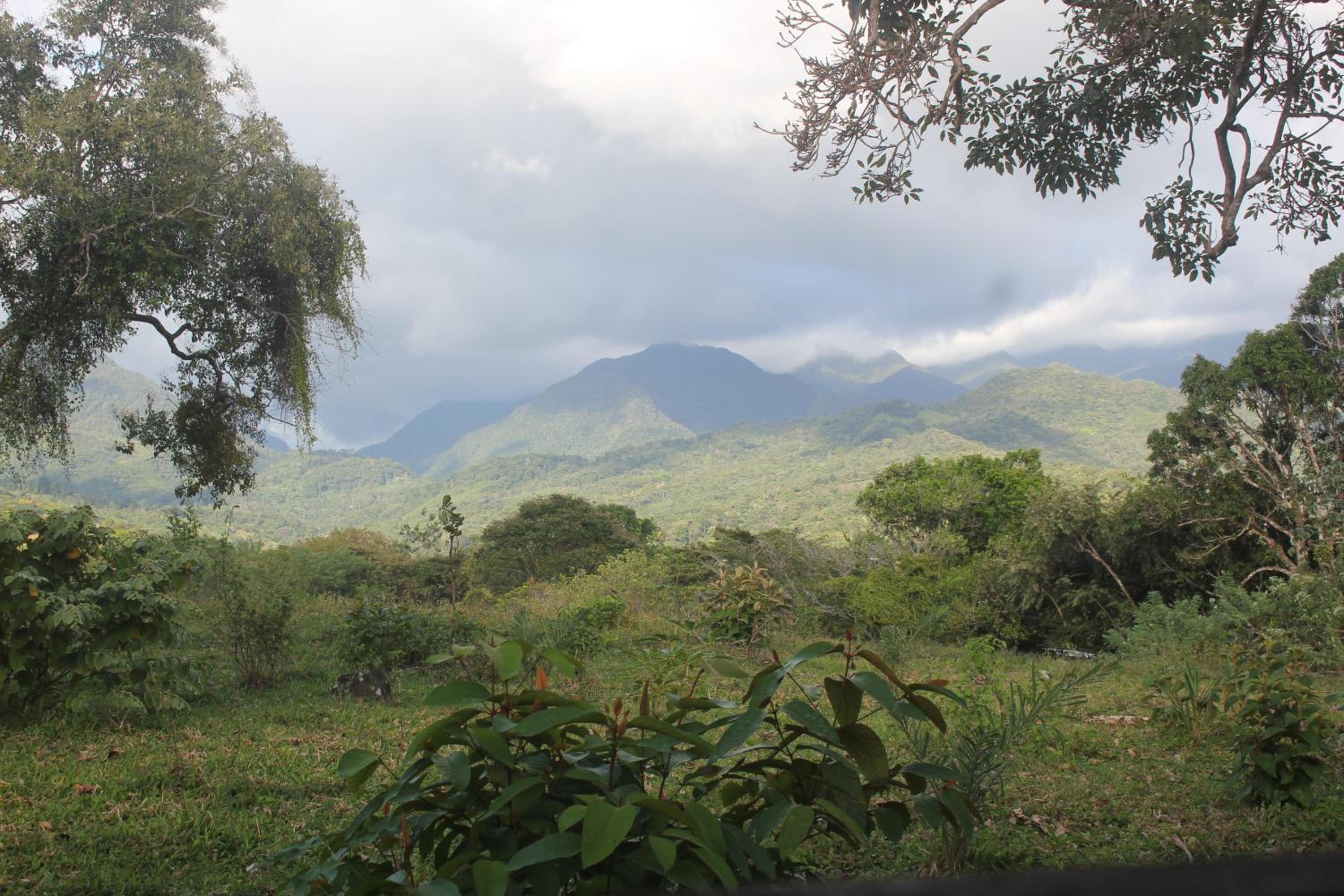 Single Room with Mountain View photo 1