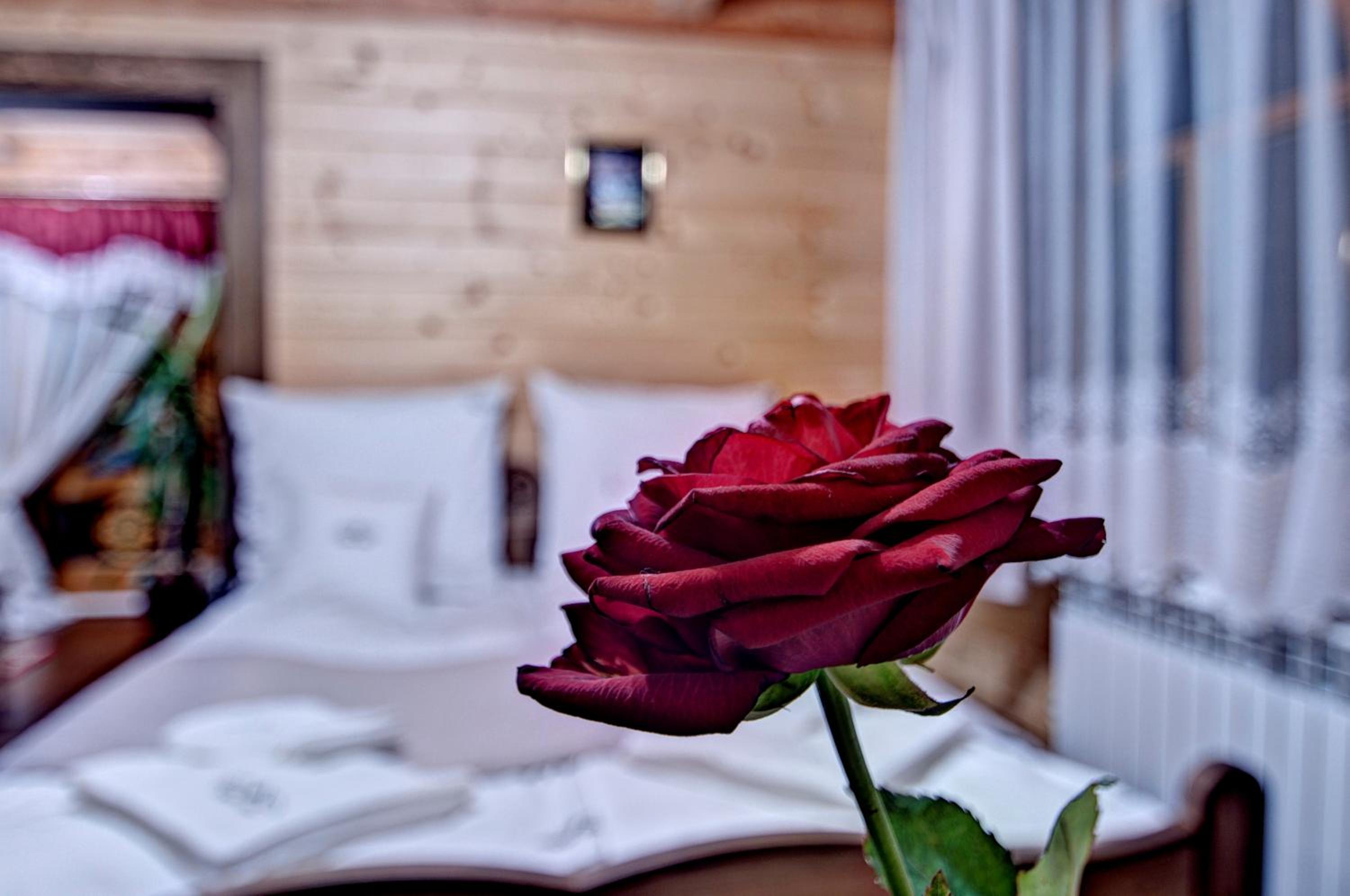 Quadruple Room photo 3